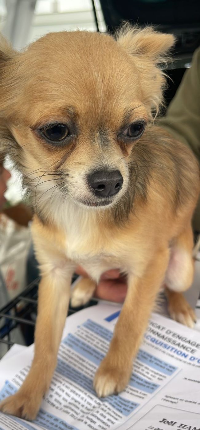 Voxy  - Impasse Du Lavoir, Carentan