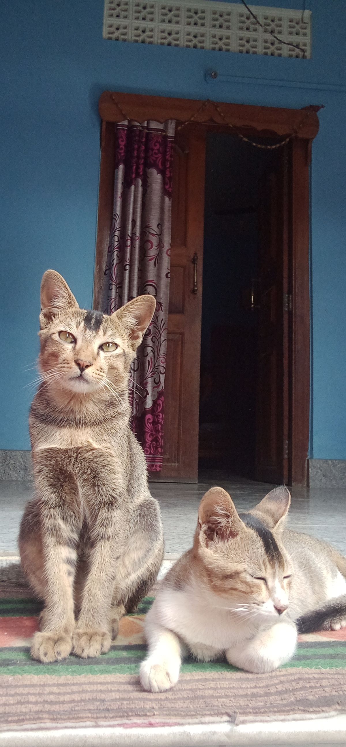 Milo - Nh102, Imphal