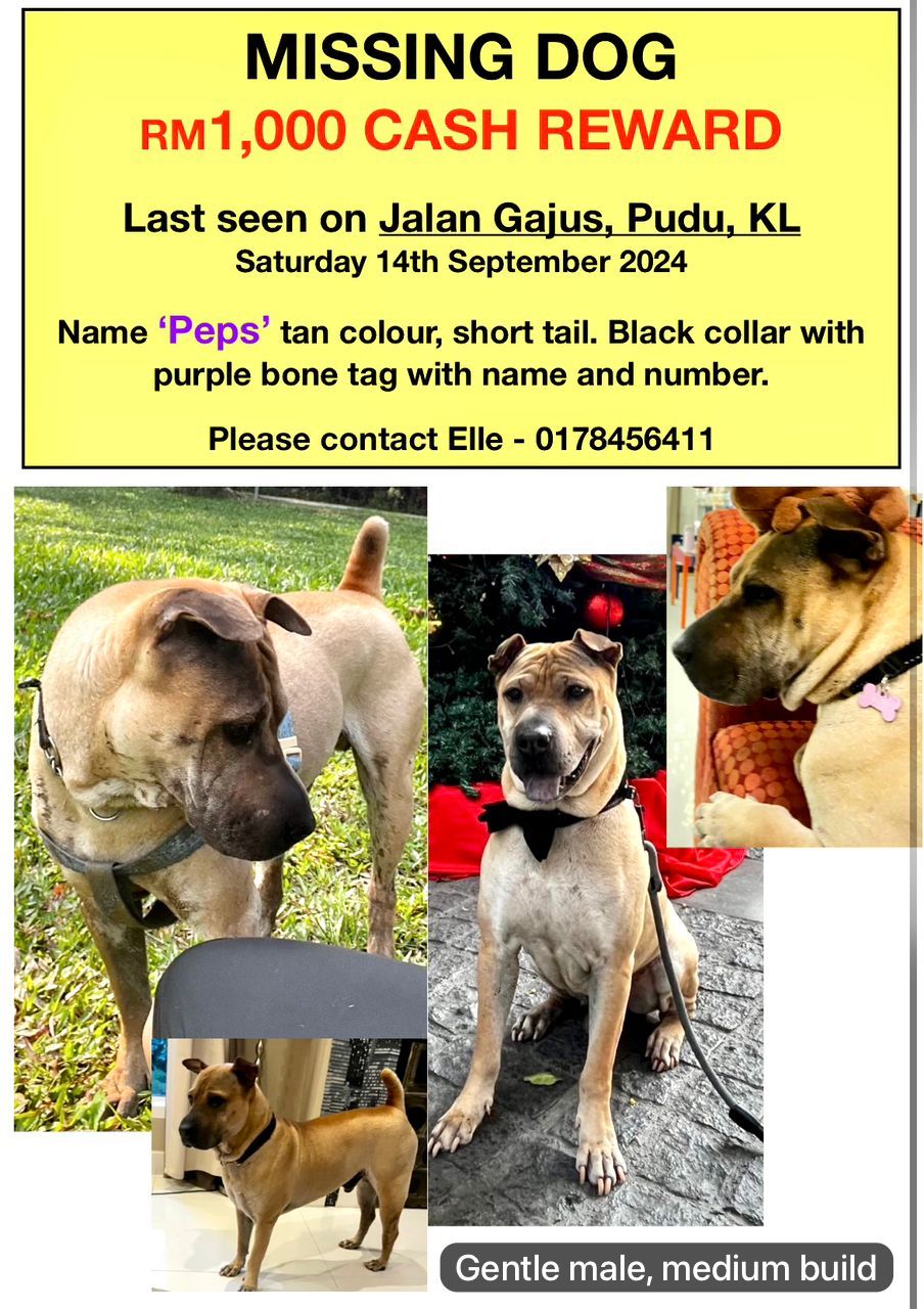 peps or pepsi - Jalan Gajus, Kuala Lumpur