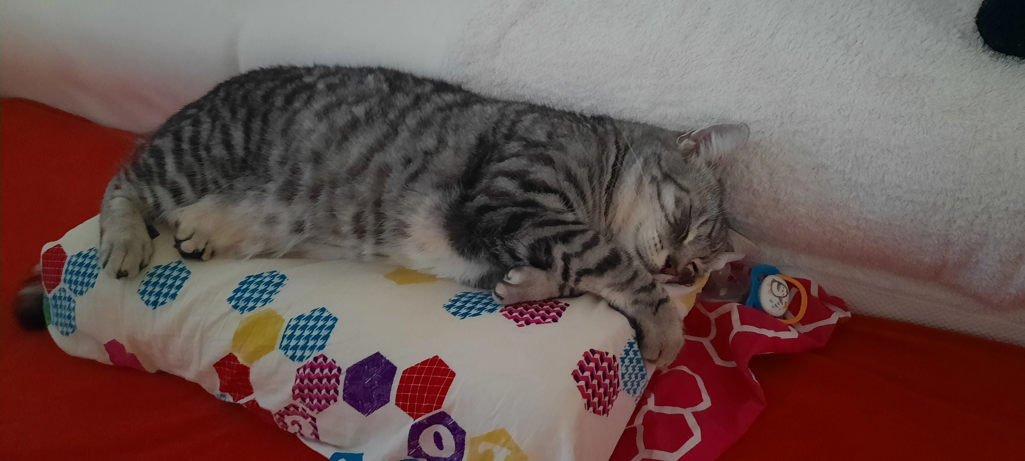 Arhos - Lutherstraße 9, Leipzig