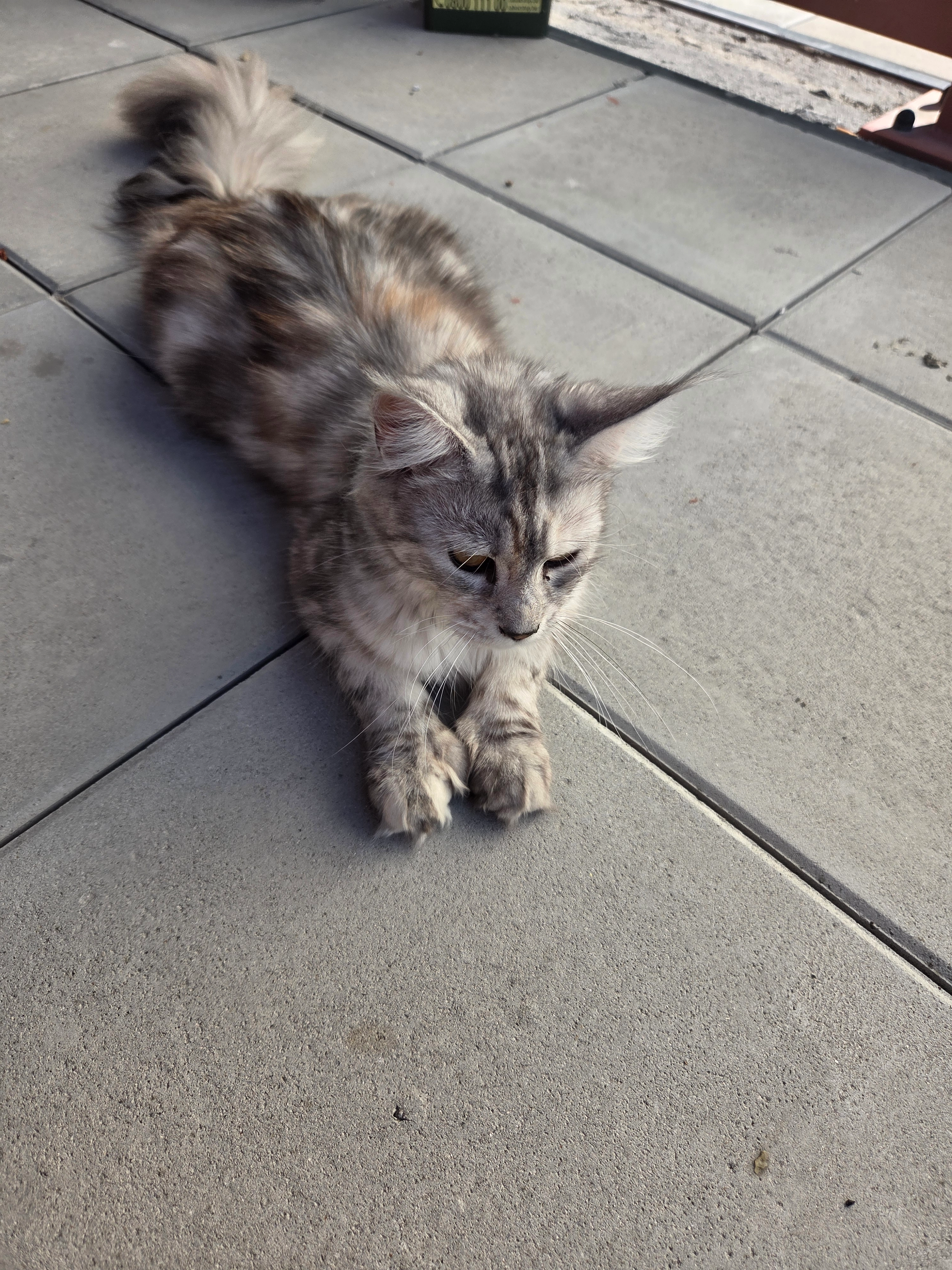 Yuna - Rue Raoul Follereau, Valenciennes