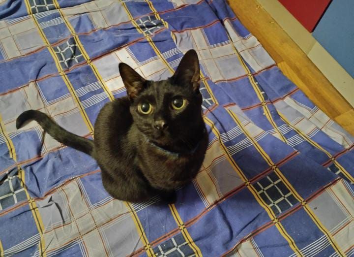 Mану - З’Єднана Вулиця, Kharkiv