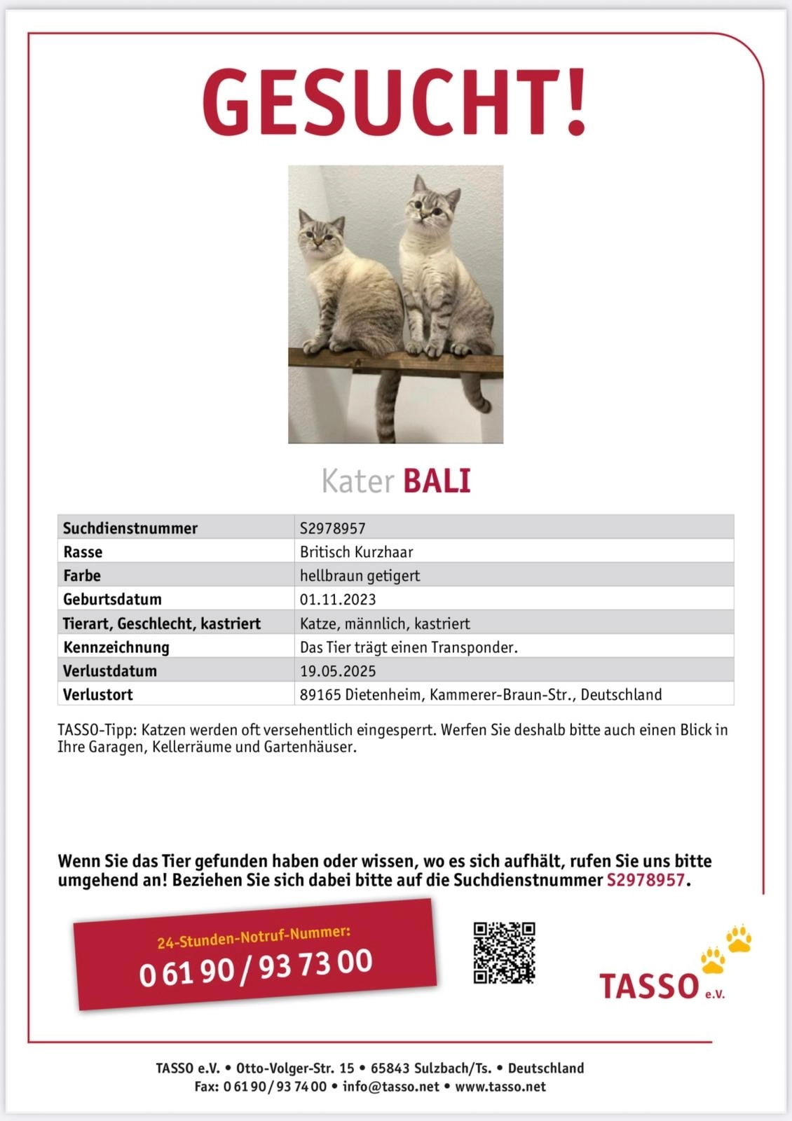 Bali - Kammerer-Braun-Straße, Dietenheim