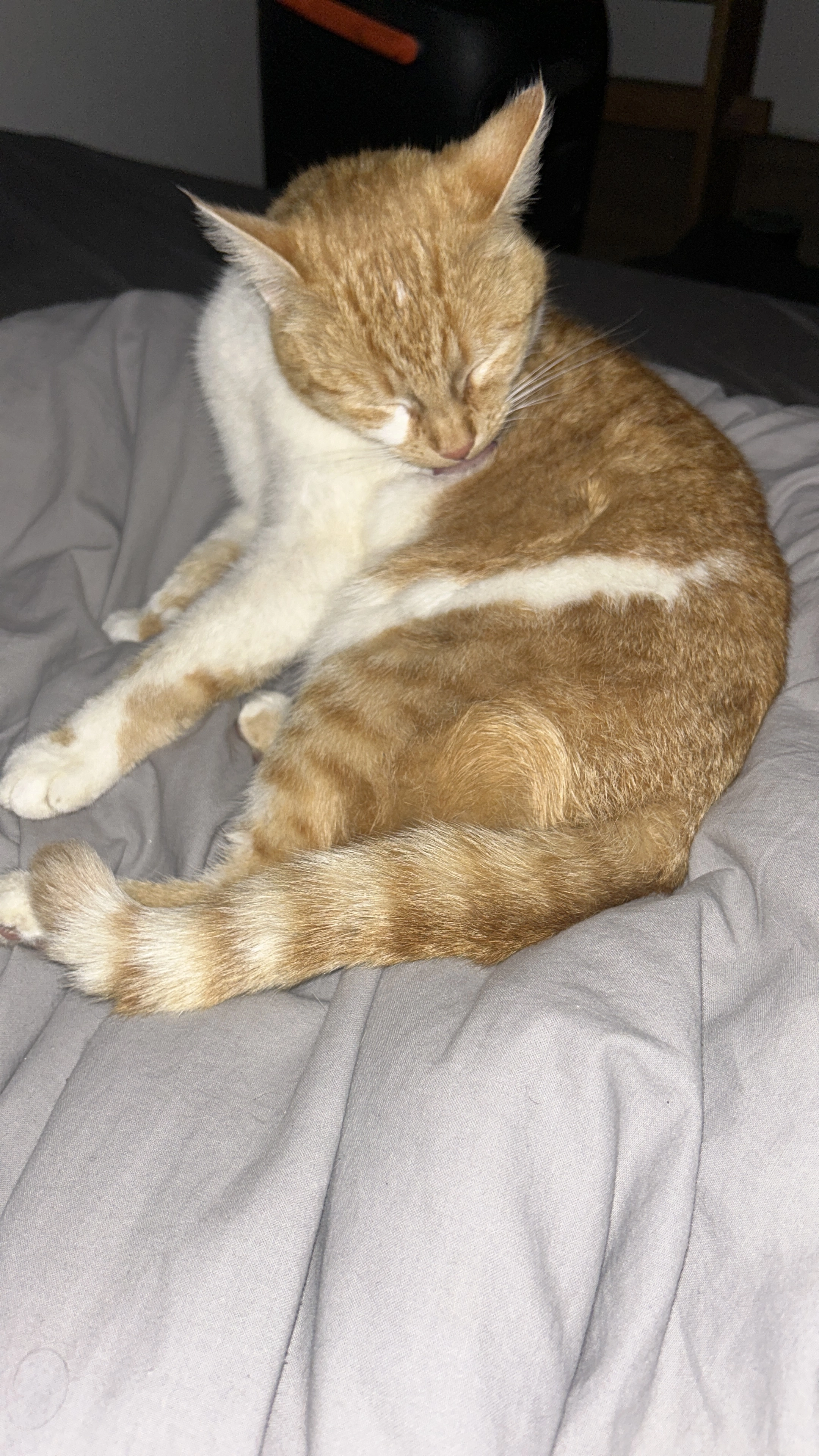 Amy - Wickingerstraße, Ferschweiler