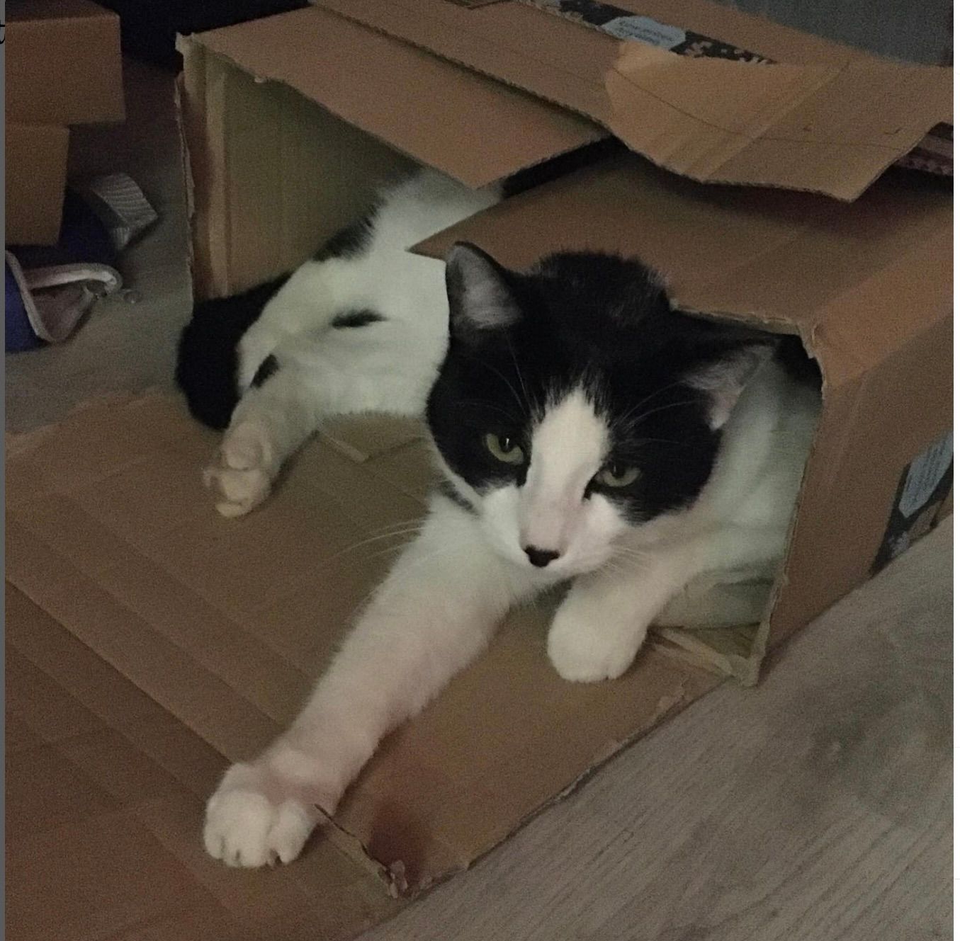 paul - Karl-May-Straße, Heiningen