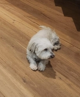 Heasy - D 133a, Le Bô