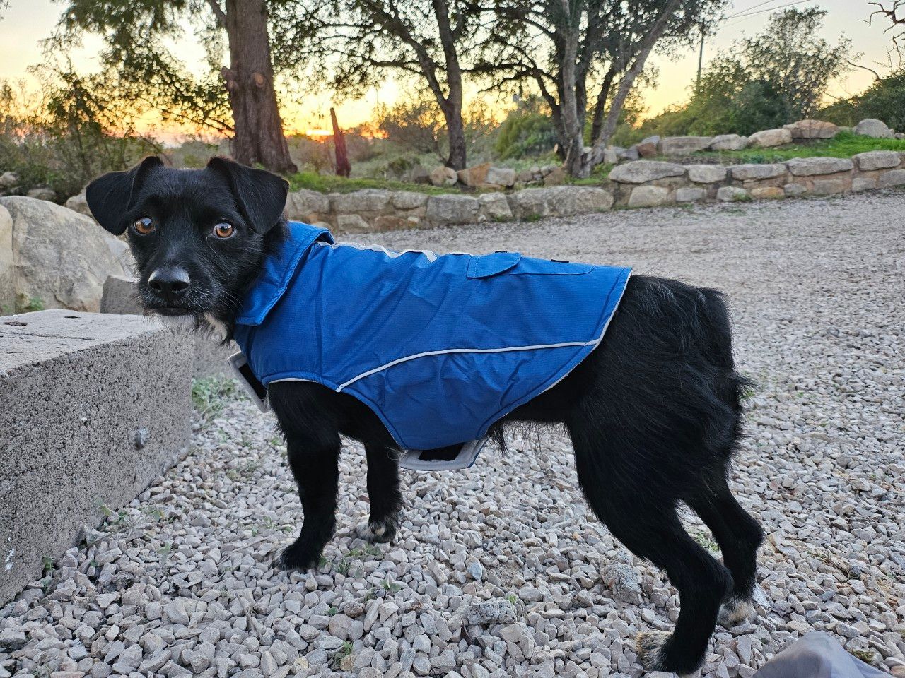 LU - Sítio Vale de Ungel, Loulé