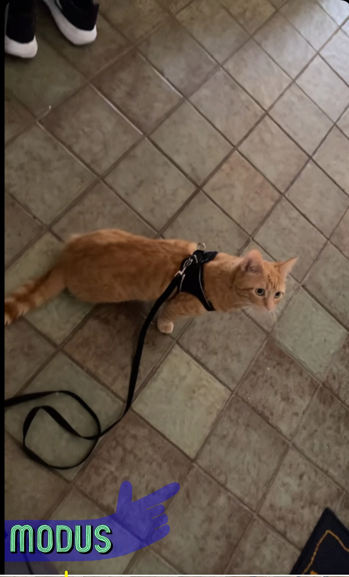 Mischo  - Sudetenstraße, Kaufbeuren