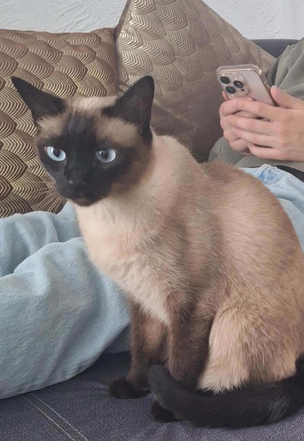 Alice - Kürassierweg, Dinkelsbühl