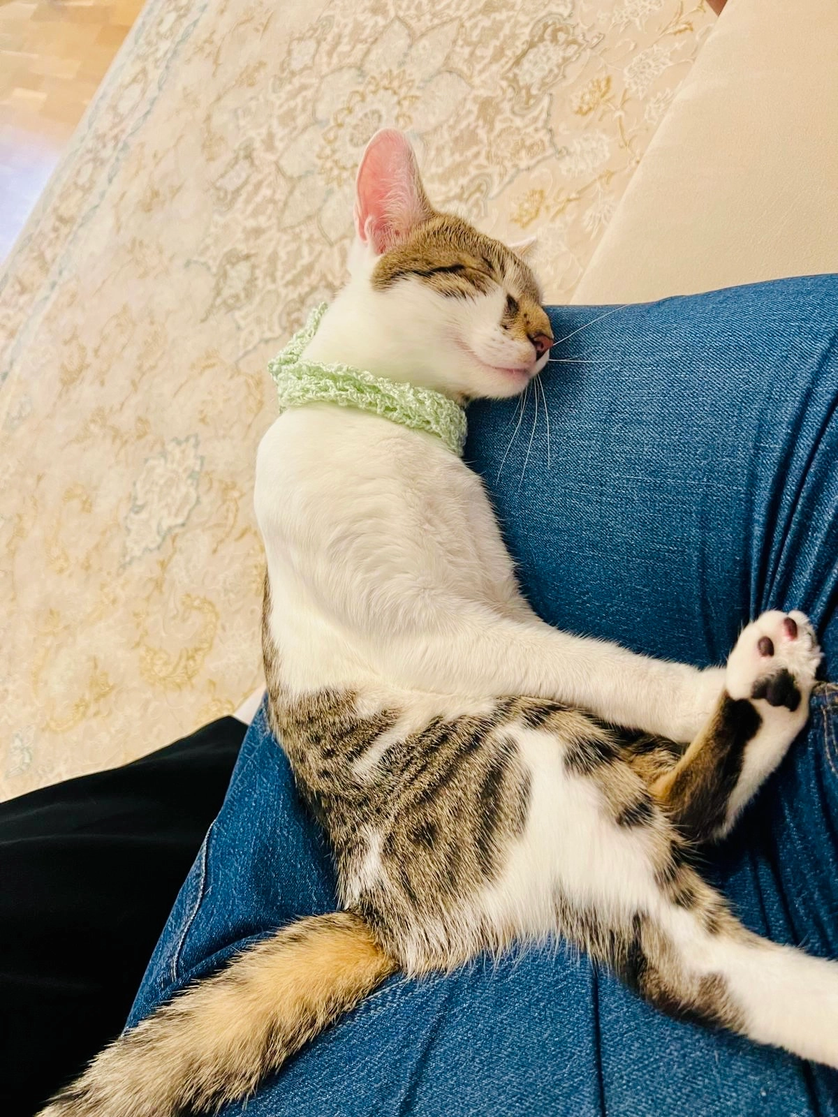 Limo - Rudolf-Zeller-Gasse, Wien