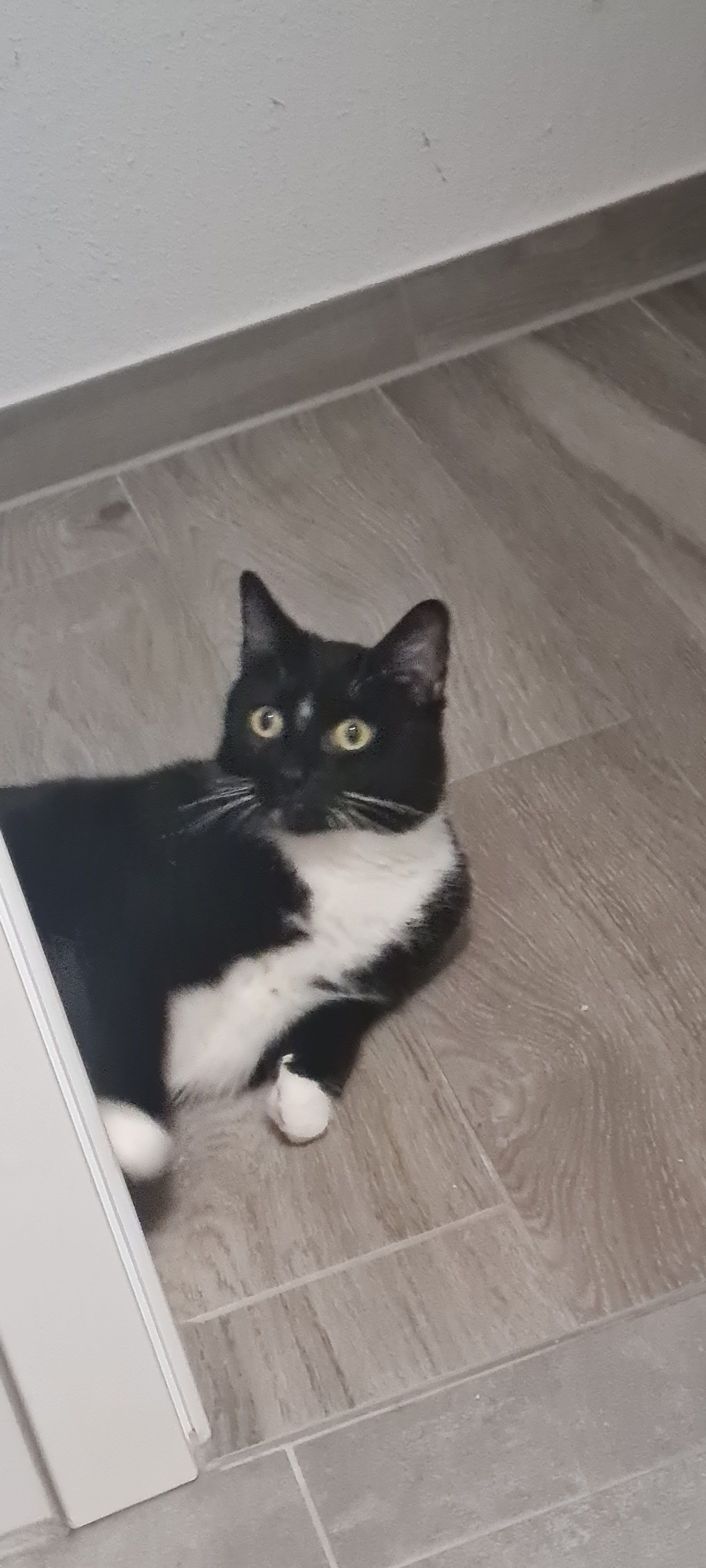 Karl - Saalfelder Straße, Aurich