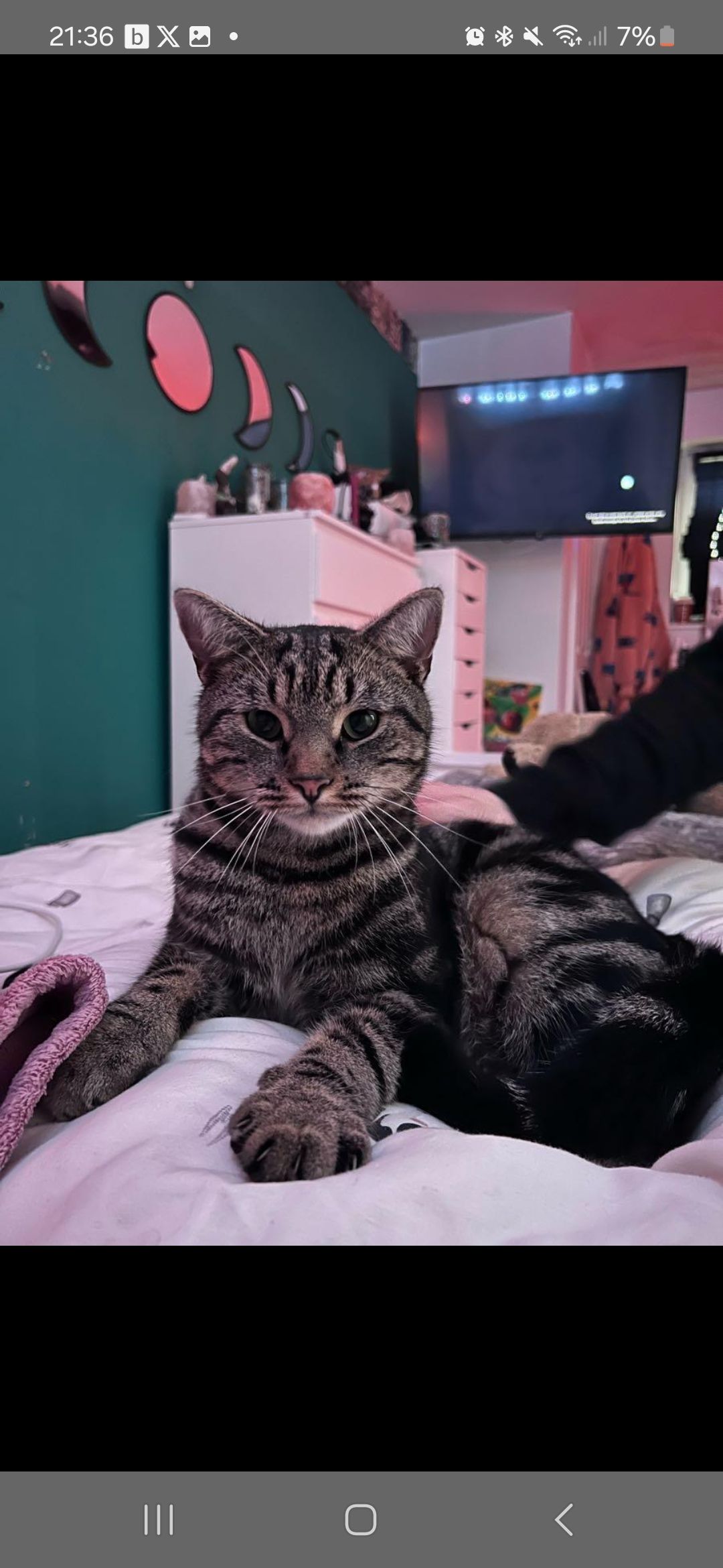 J - Rhodyate, Bristol