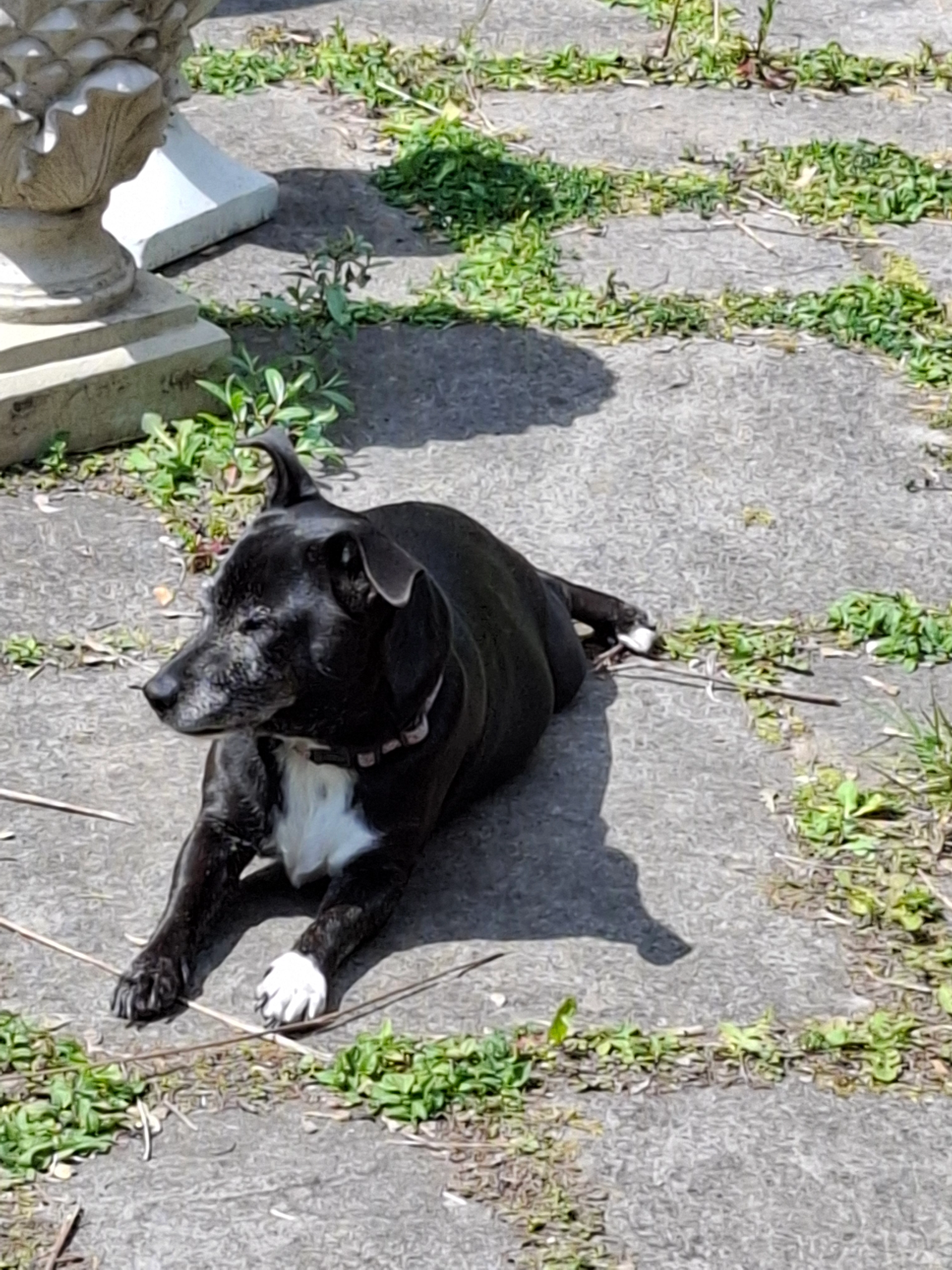 Skye  - Haig Avenue, Southport