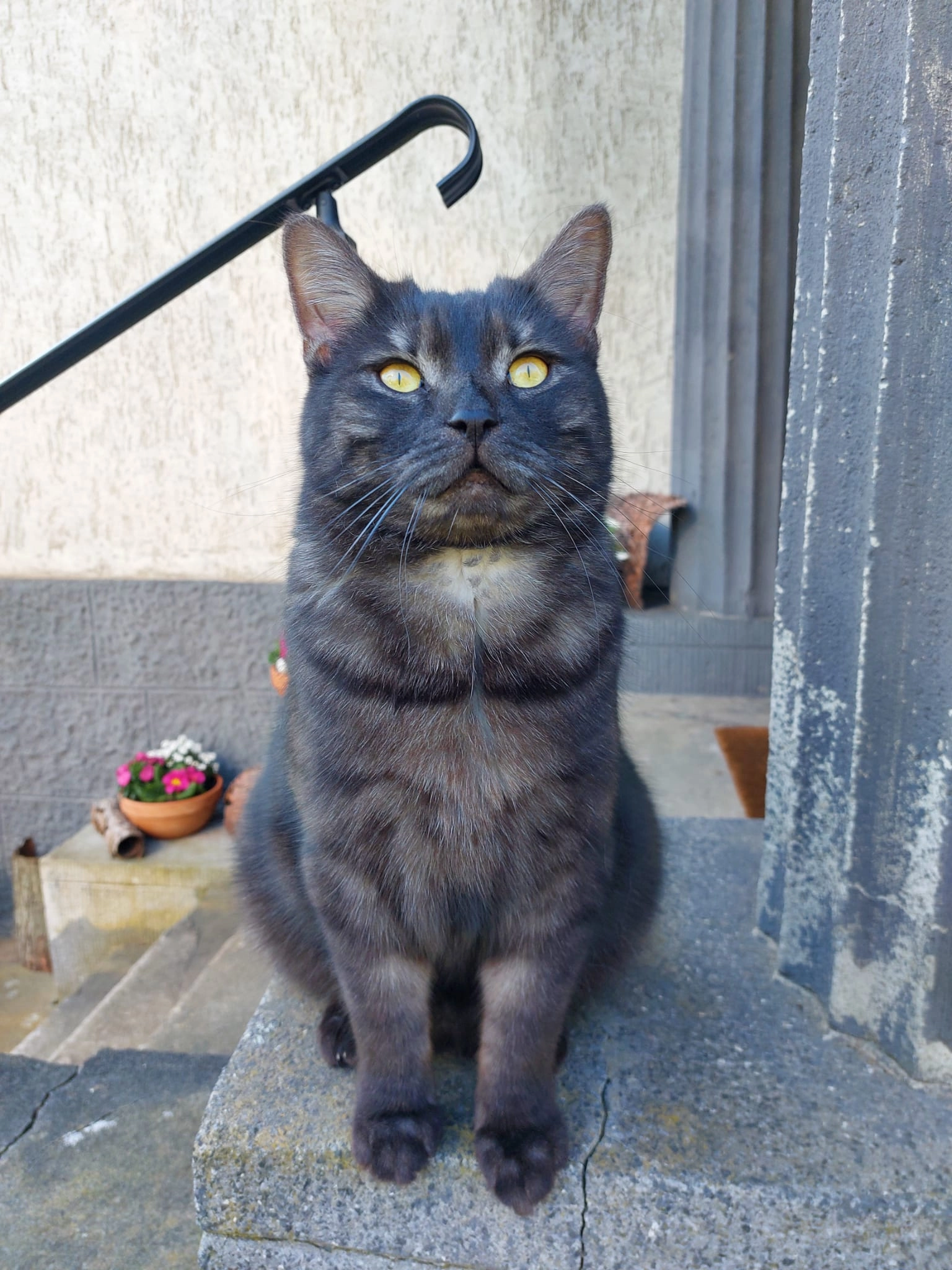 Tayo - Am Kreitz, Neuss