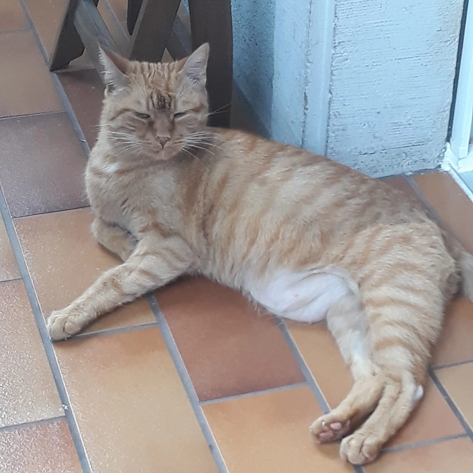 Lucky - Marie-Alexandra-Straße, Karlsruhe