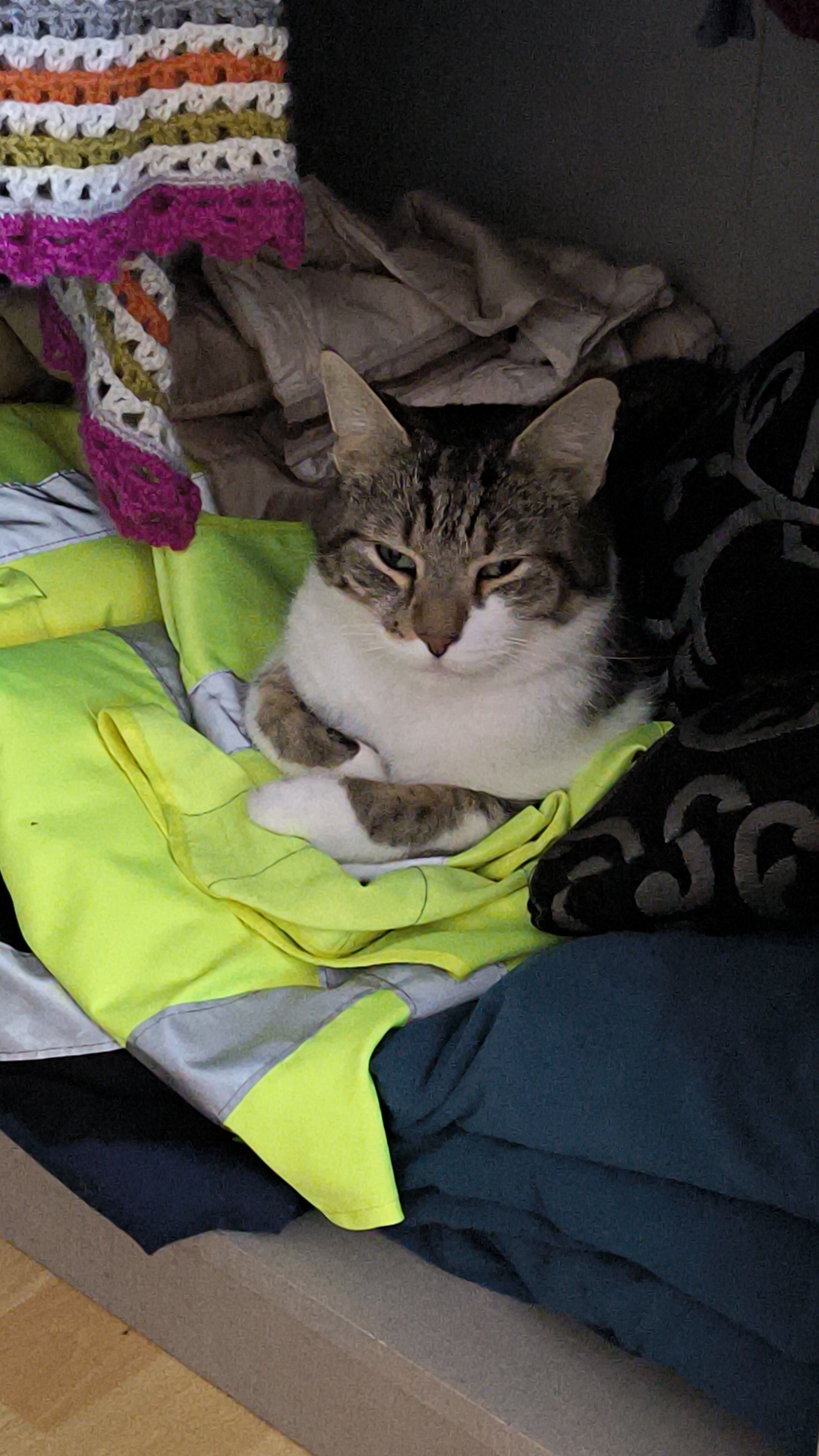 Krümel - Buchkopfstraße 1A, Bühlertal