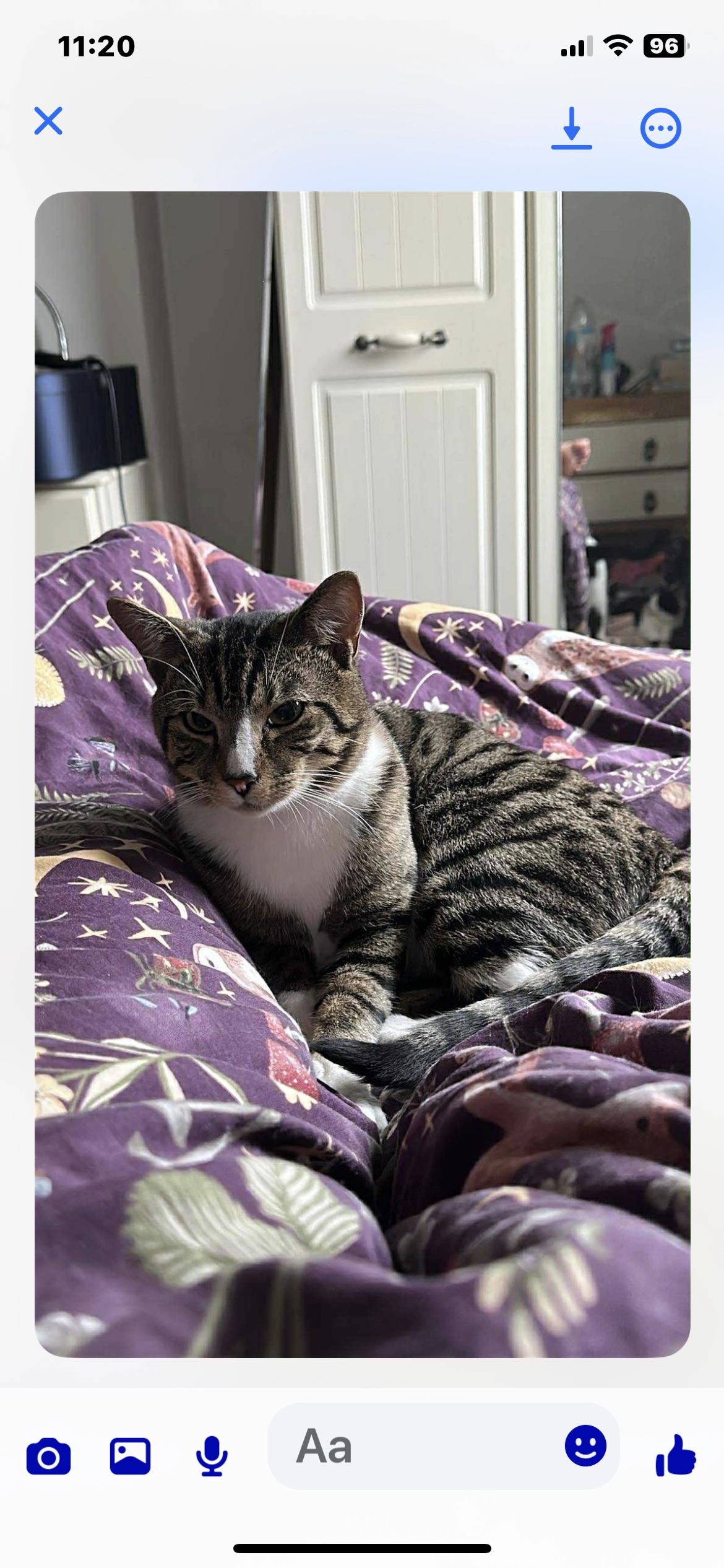 Tigger - Fryston Road, Castleford