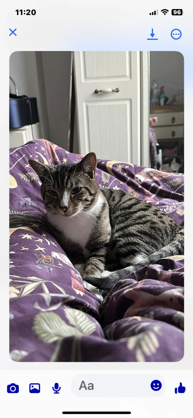 Tigger - Fryston Road, Castleford