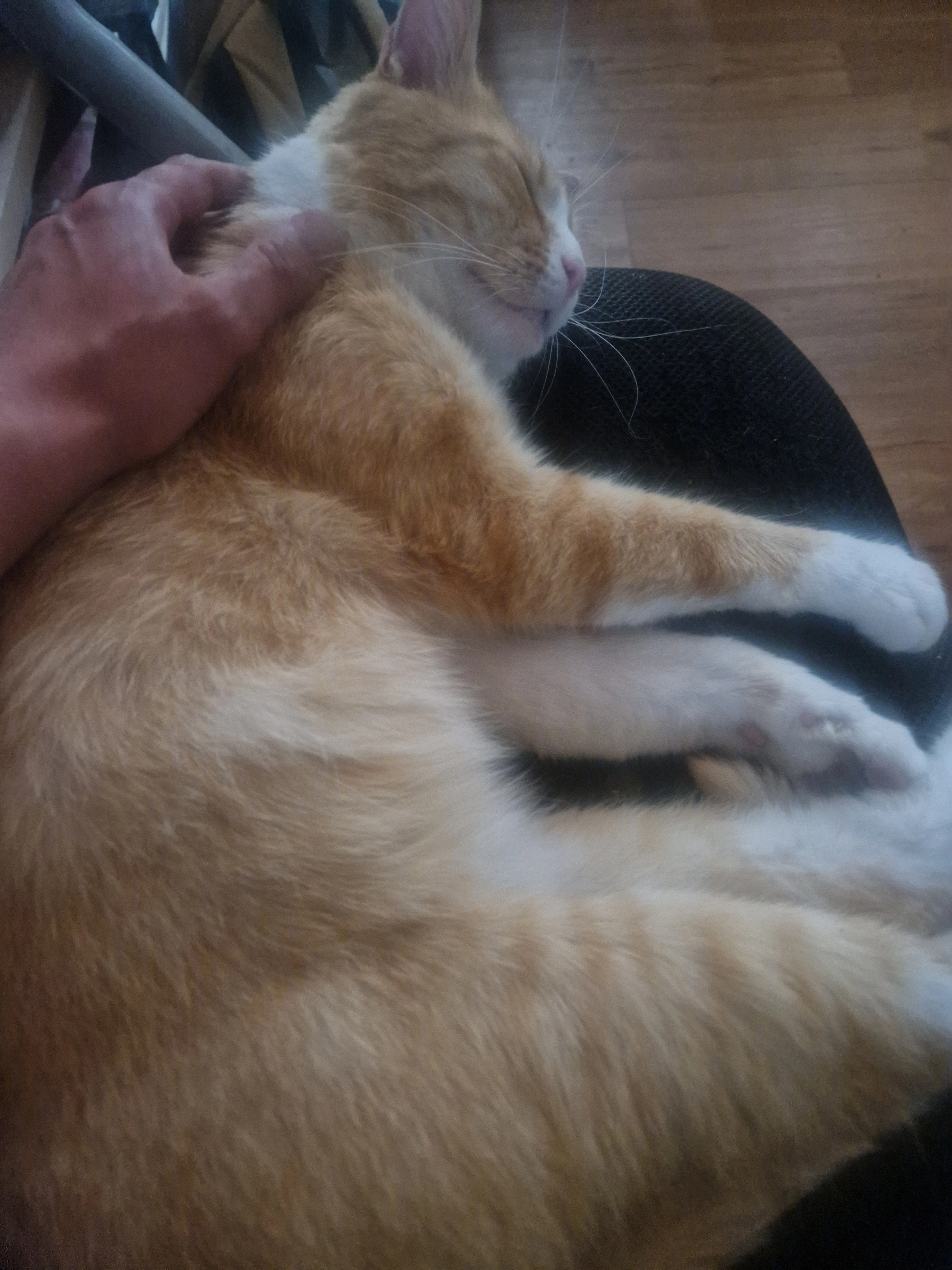 Oswaldo - Lindenstraße, Bollendorf