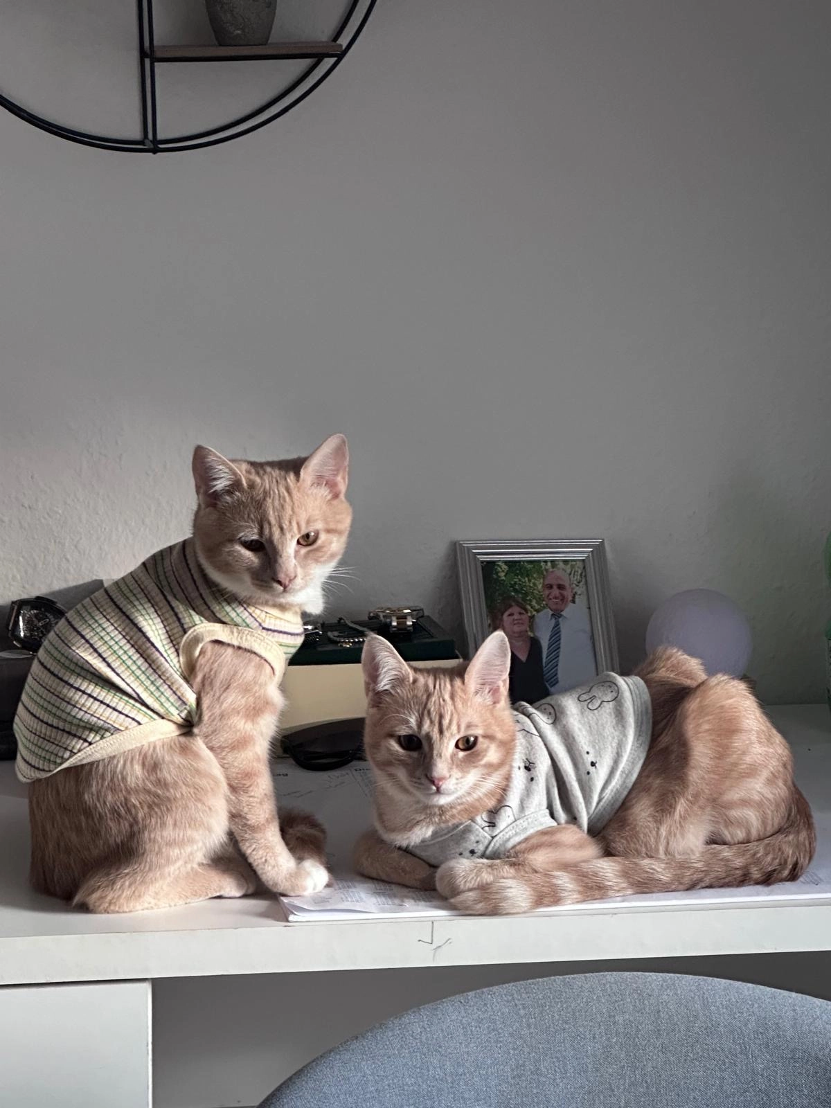 Gohan goku  - Kleine Hohle, Leingarten