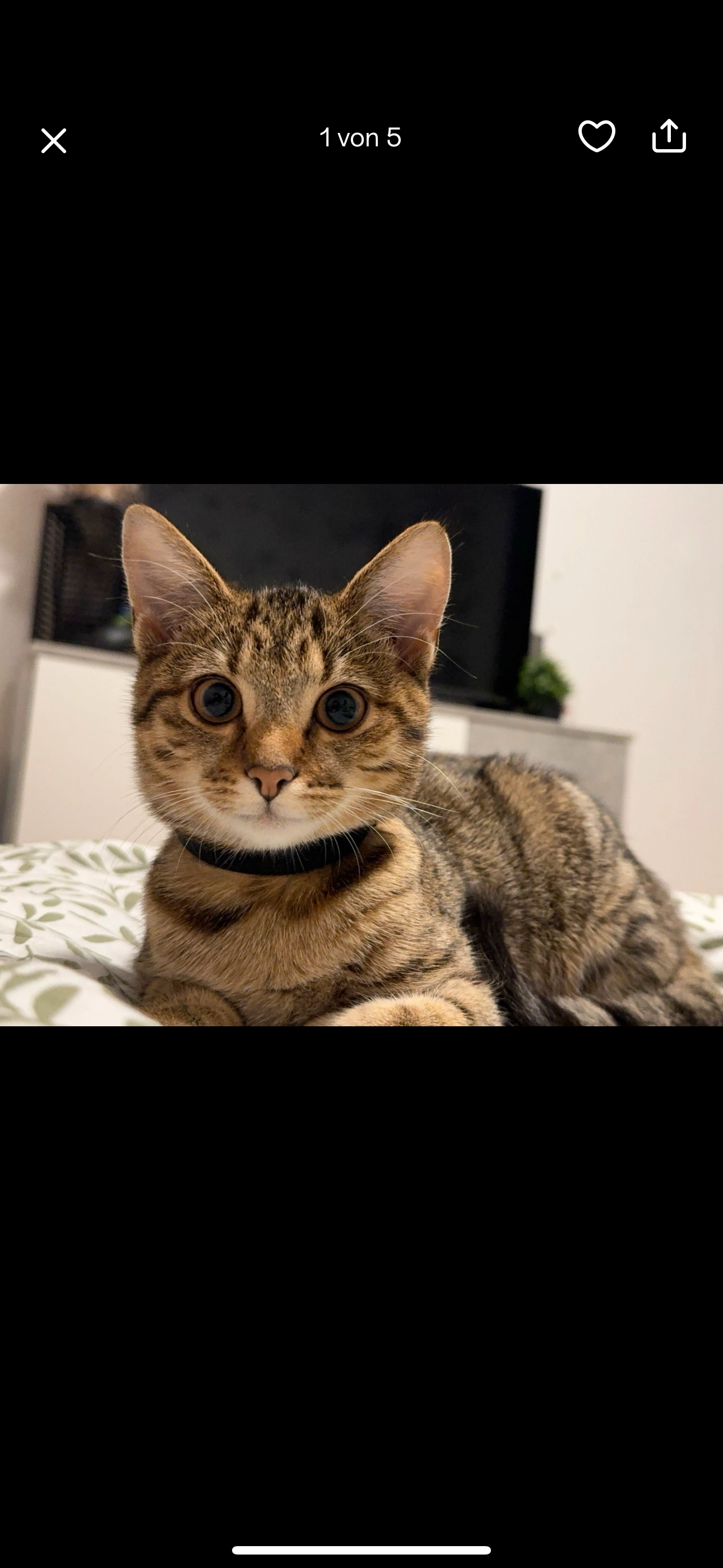 Kaya - Robert-Koch-Straße, Erfurt