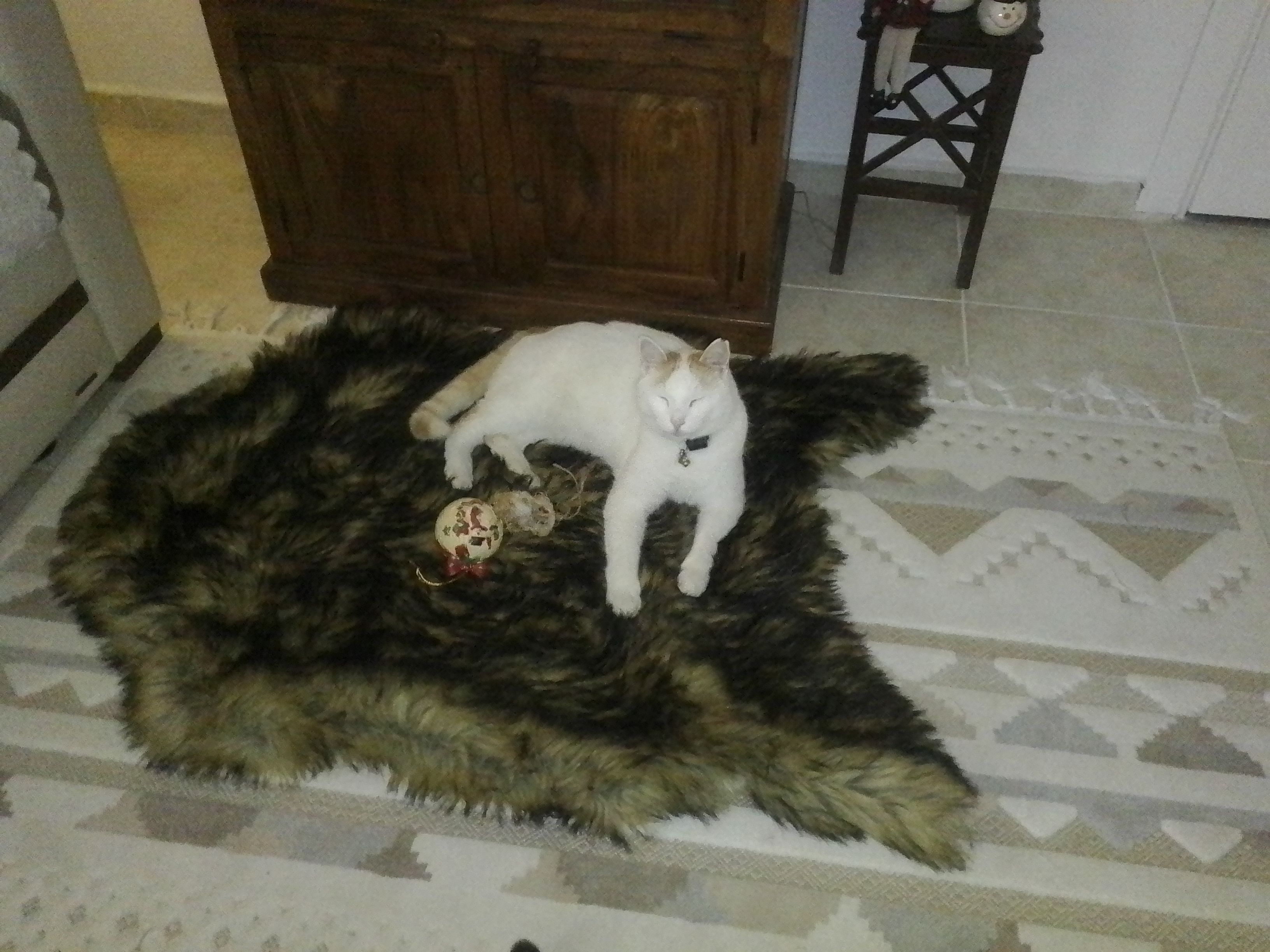 Si si - Ege Caddesi, Didim