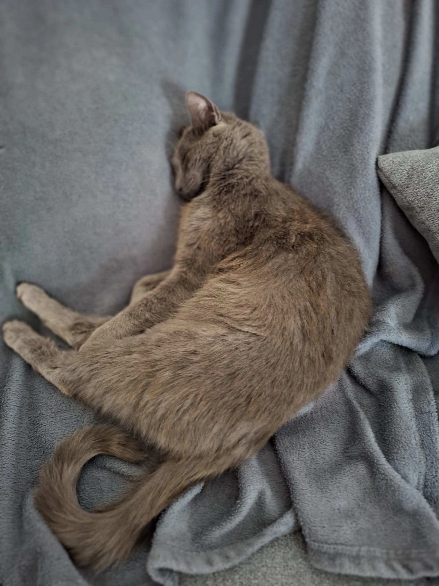 Moritz - Weichselgasse, Harmannsdorf