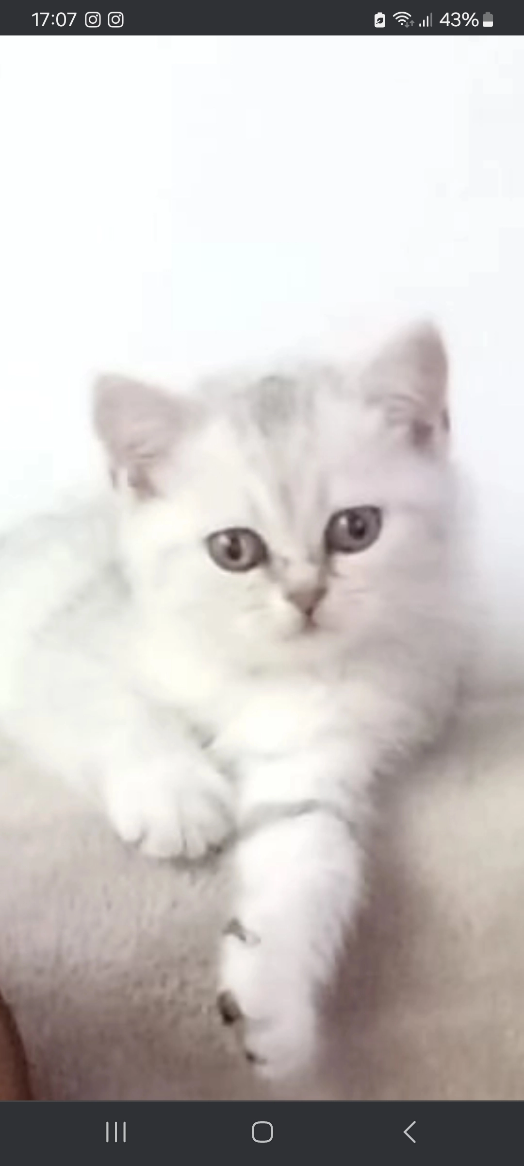 Silver - Notweg, Amsterdam