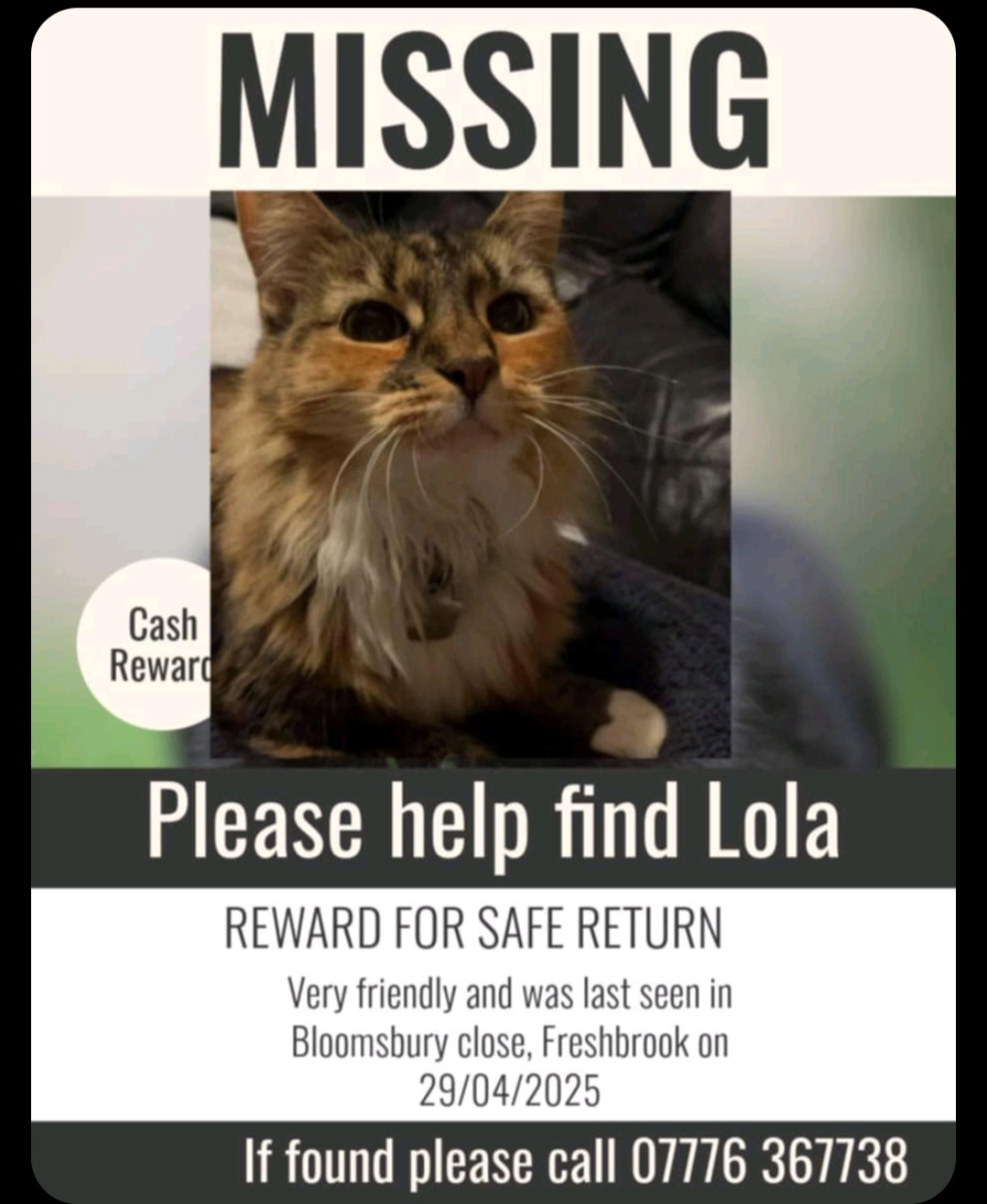 Lola - Bloomsbury Close, Swindon