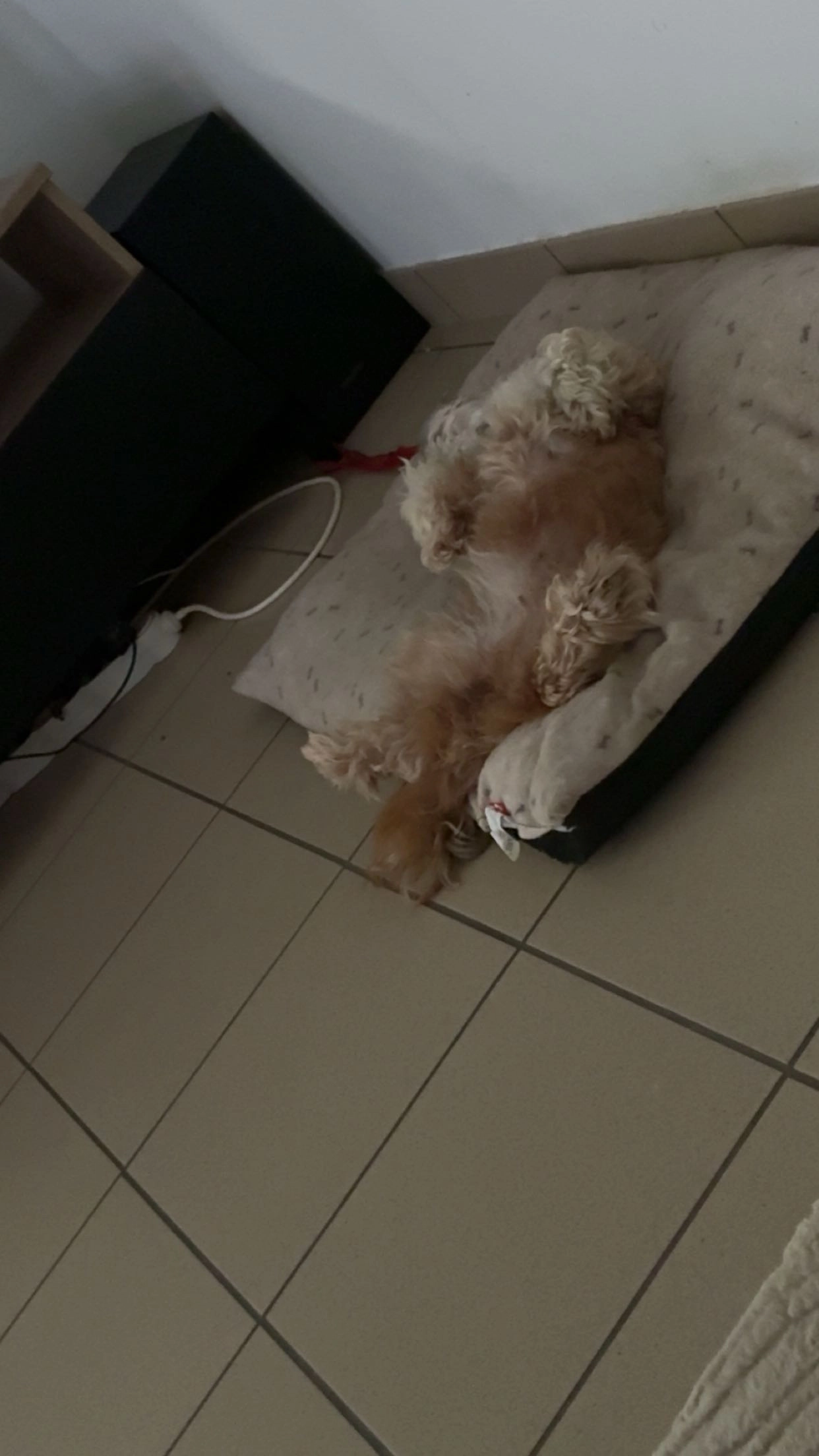 Louny  - 31 Rue Paul-Henri Tisseau, Bazoges-en-Pareds