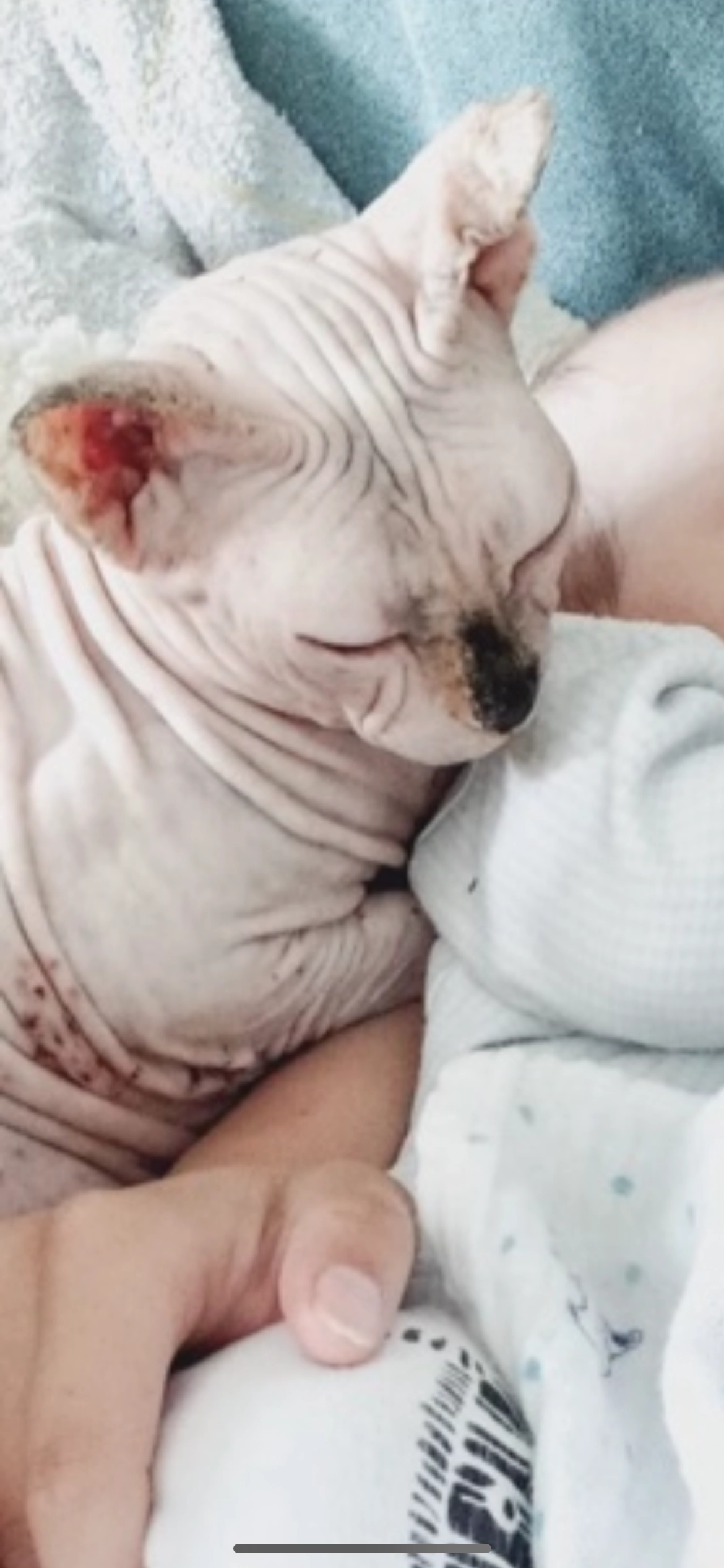 Julia - Joseph-Haydn-Straße, Suhl