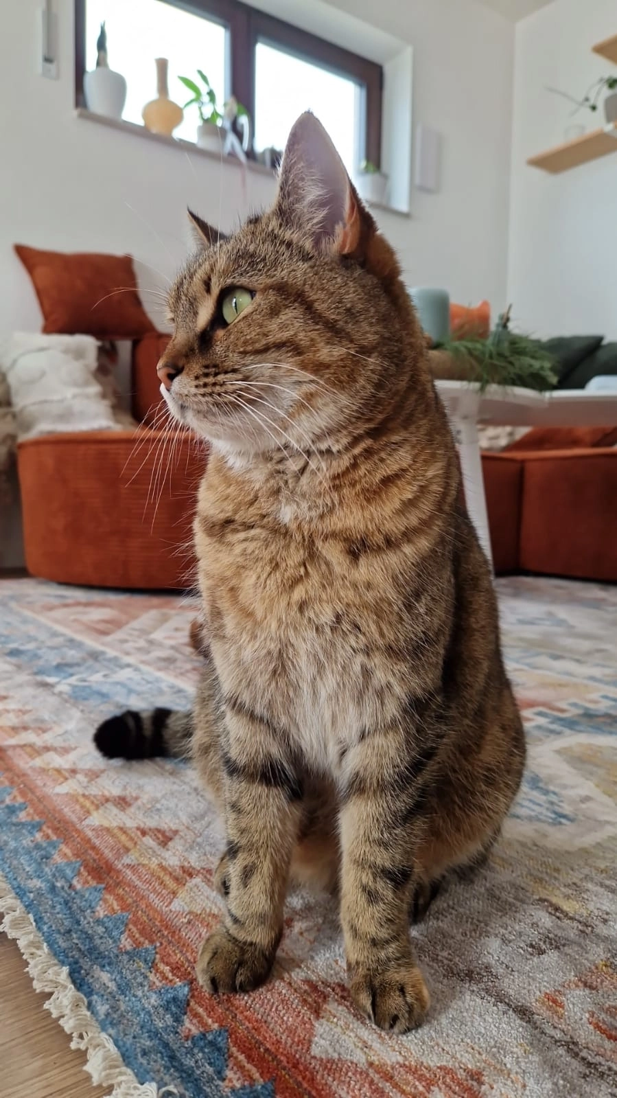 Gibby - Am Waldrand, Tann