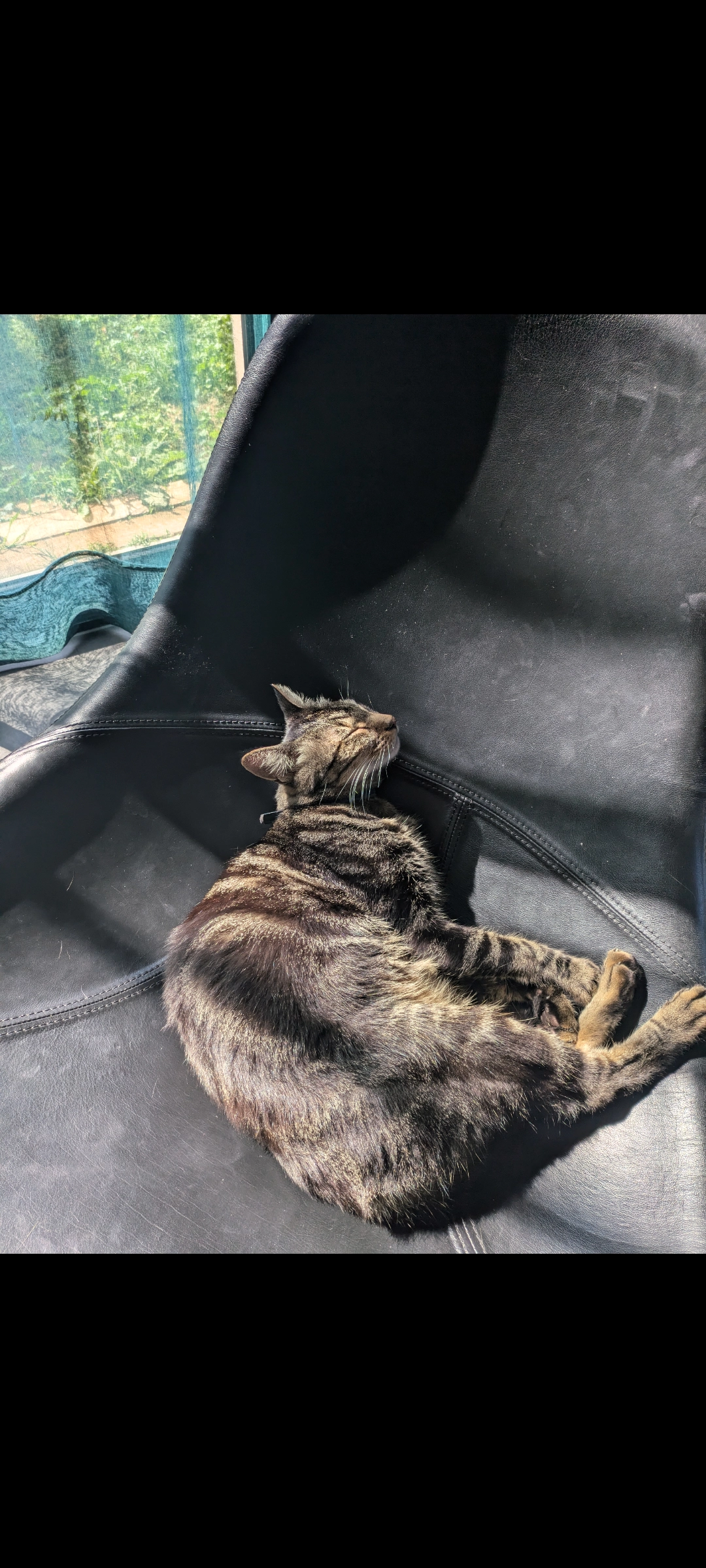 Oreo  - Route du Rhône , Saint-Montan