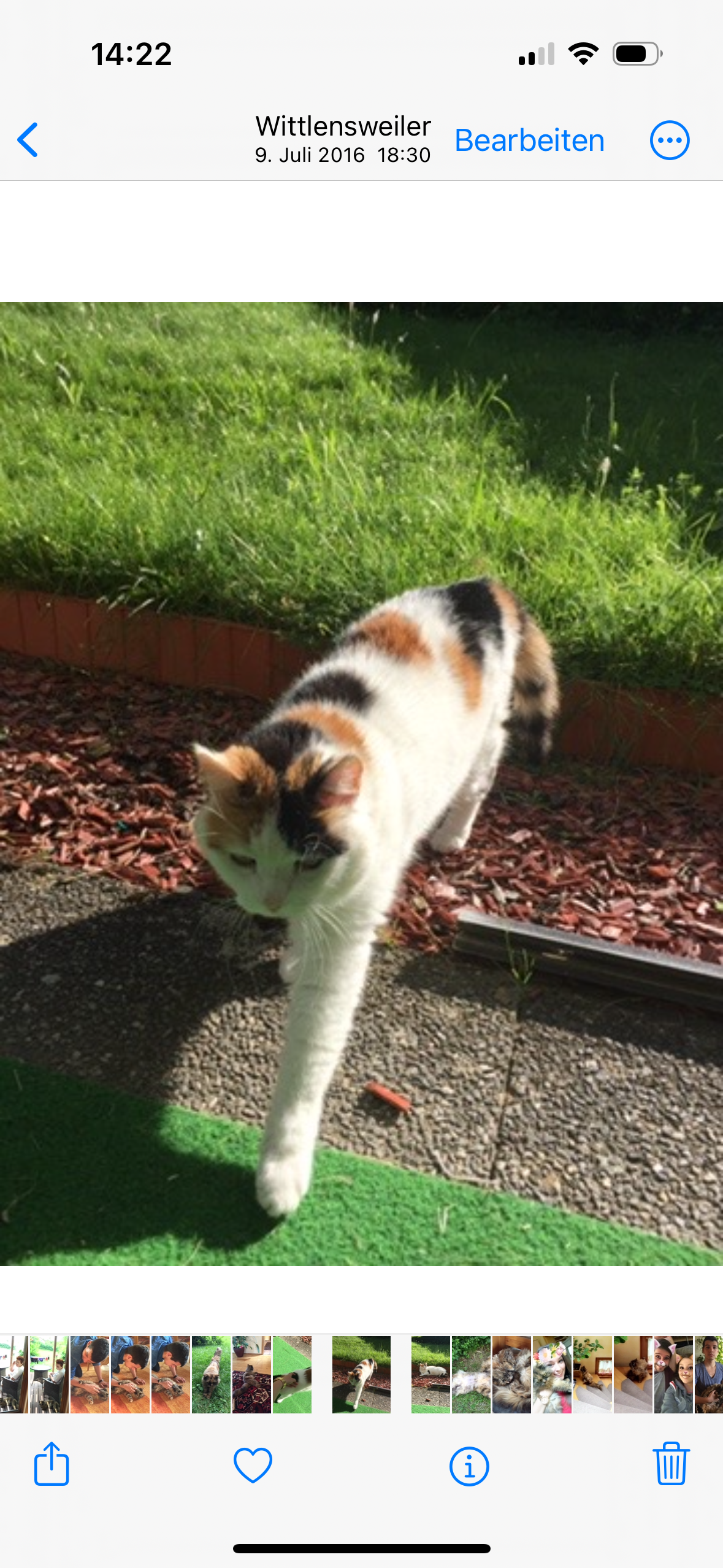 Matilda - Nonnenweg, Dornstetten