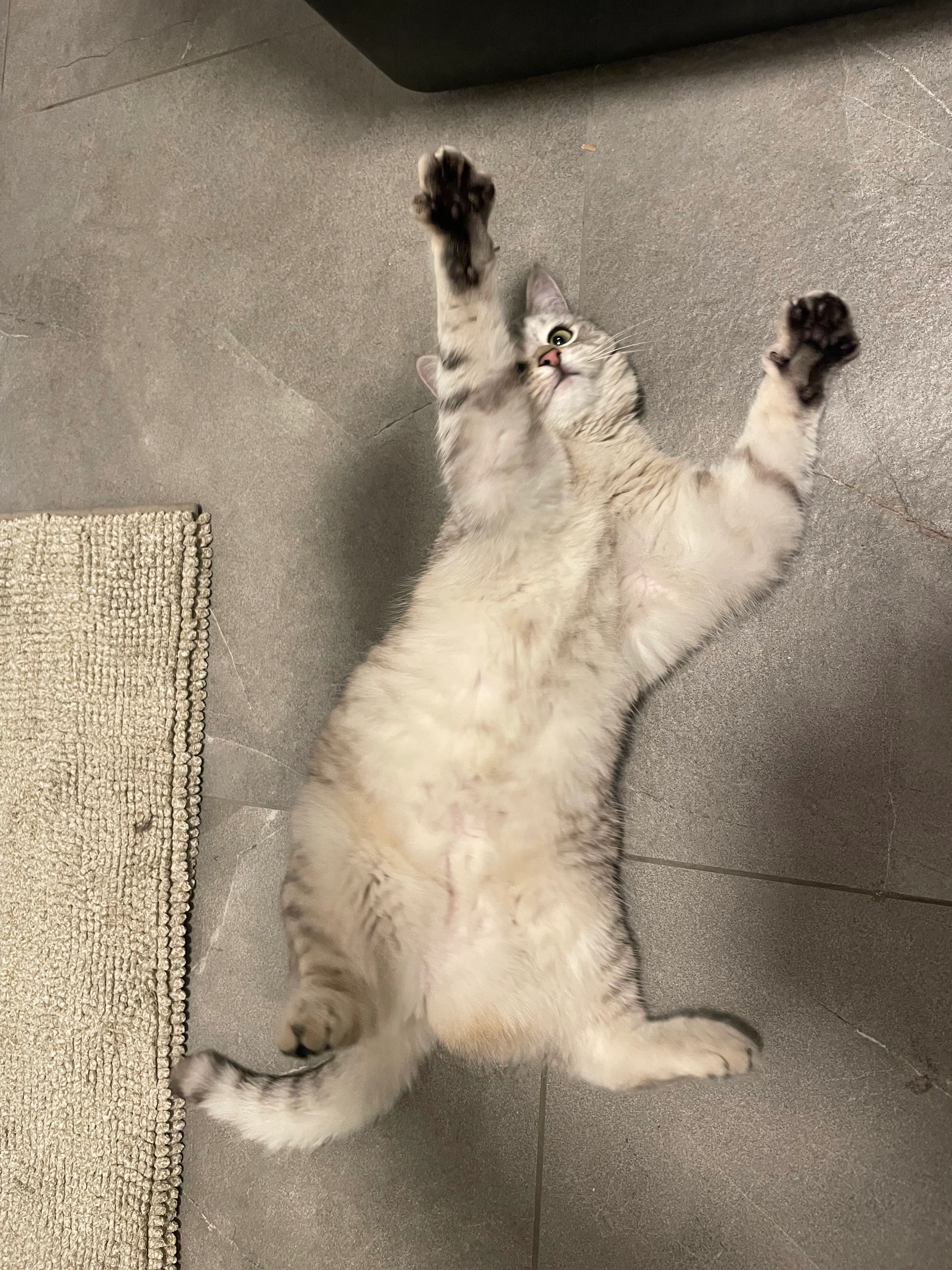 Zoey - Mühlleite, Riedenburg