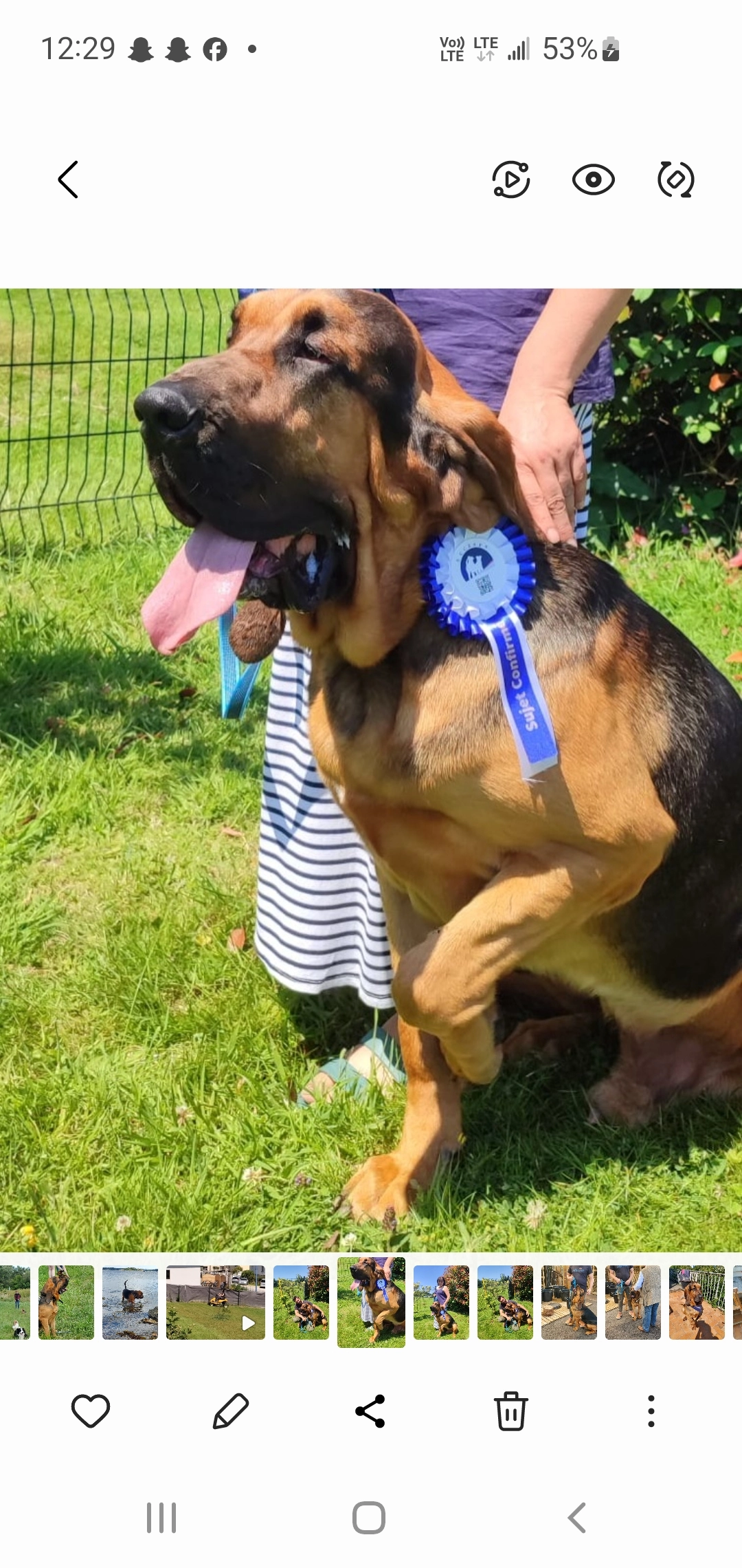 Angus  - Ty Rod, Dinéault