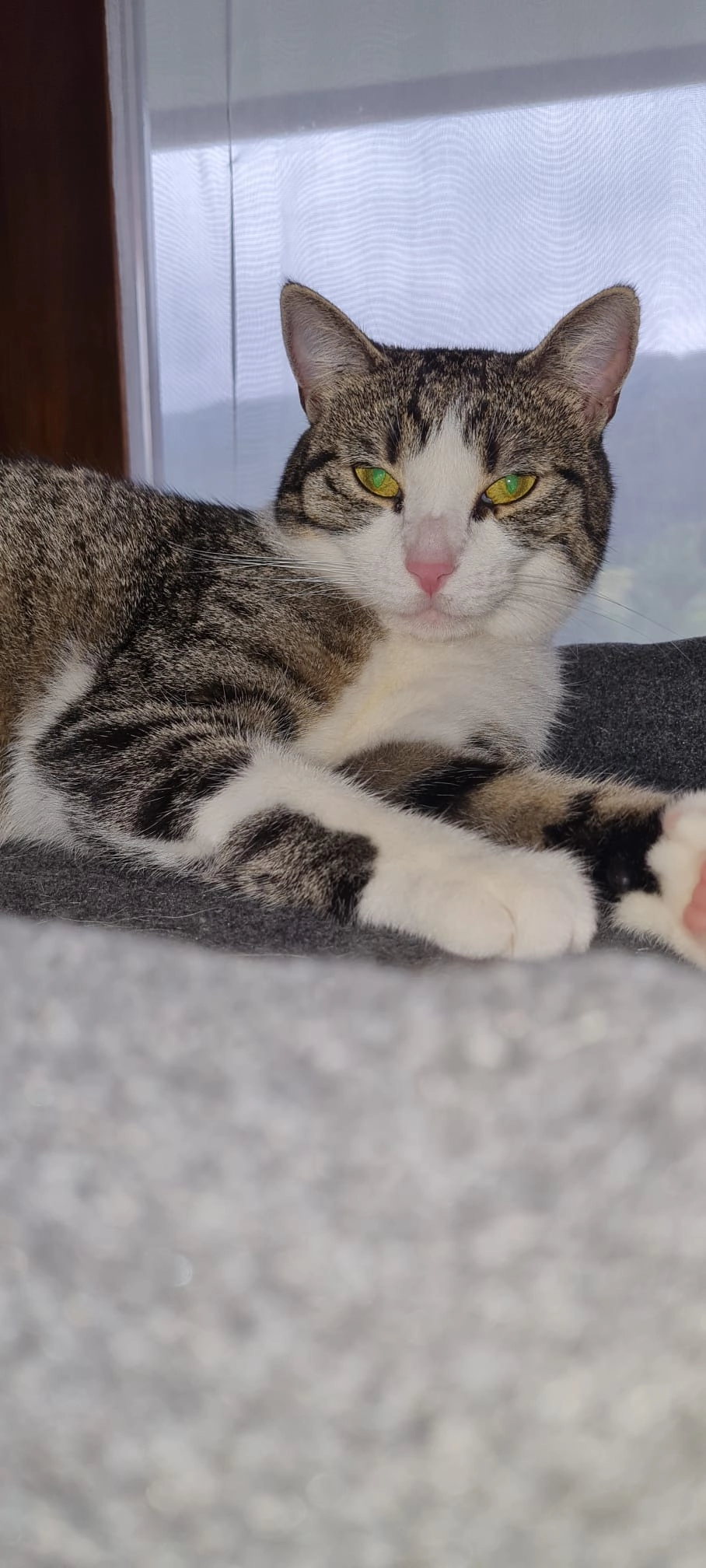 Melly  - 63937, Weilbach