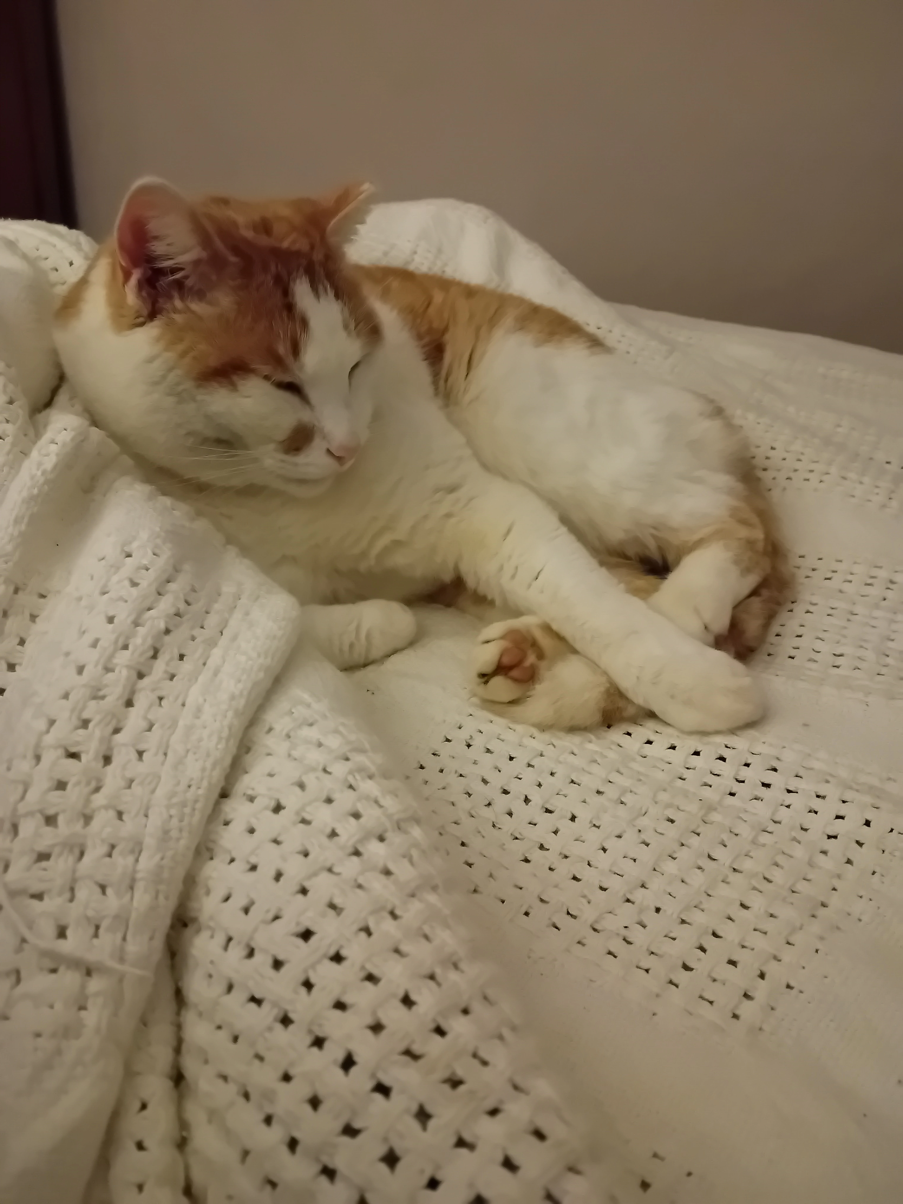 Steve McQueen - Cloves Hill, Ilkeston