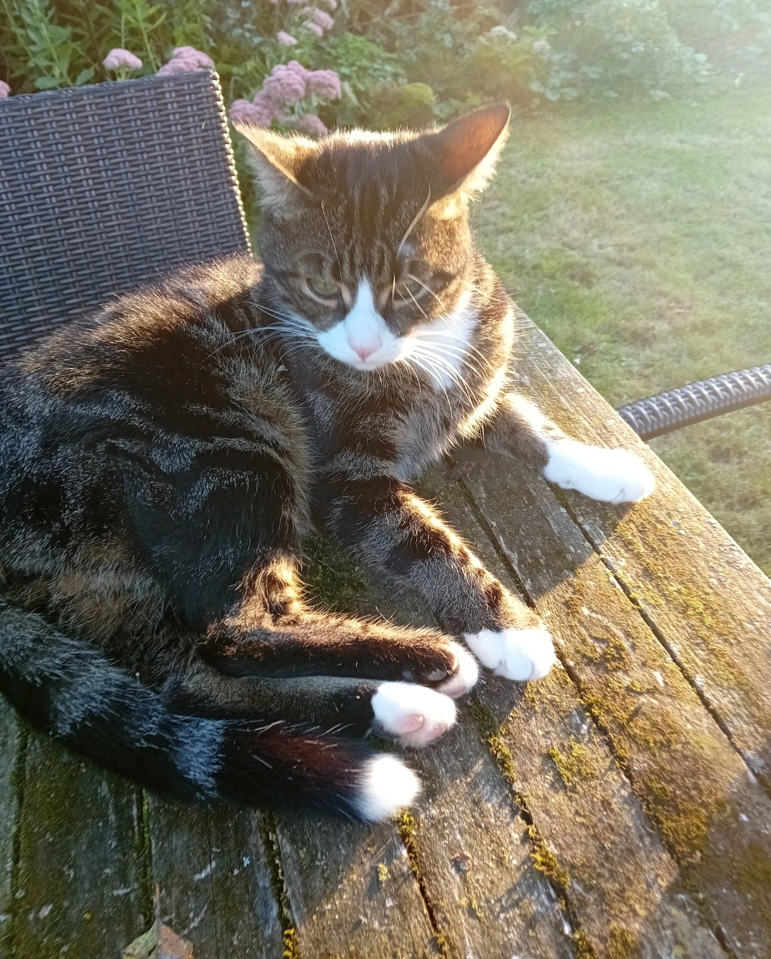 Baluu - Kirchstrasse 17, Sins