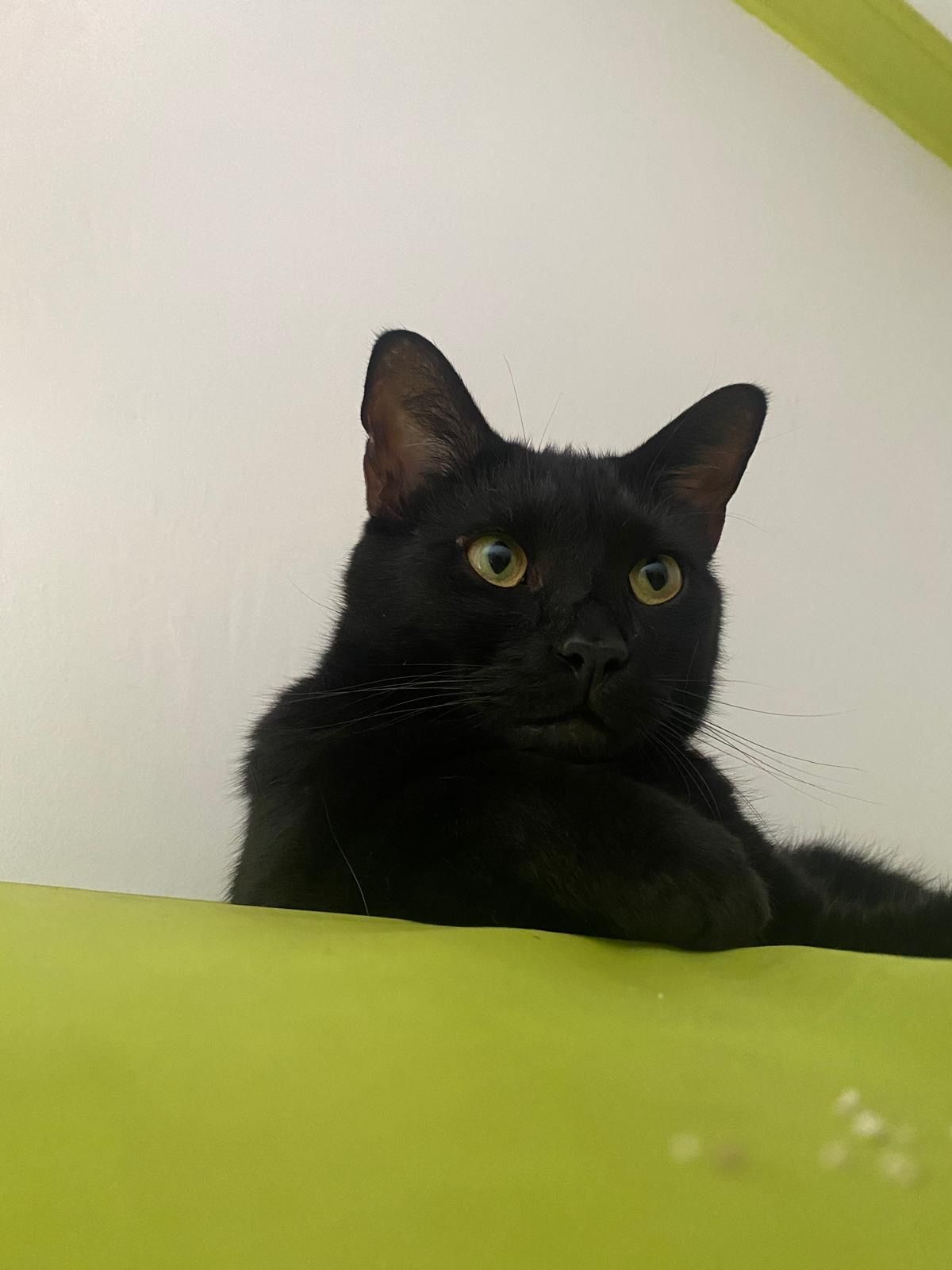 Sputnik  - Calle Felipe Ii, Rota