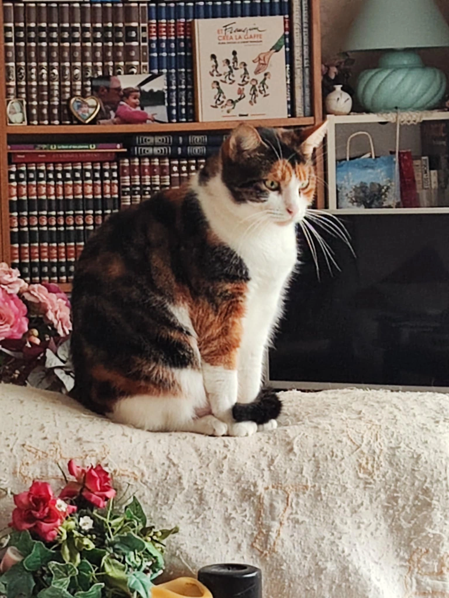 Satine - 126 Rue Jean Jaurès, Meaux