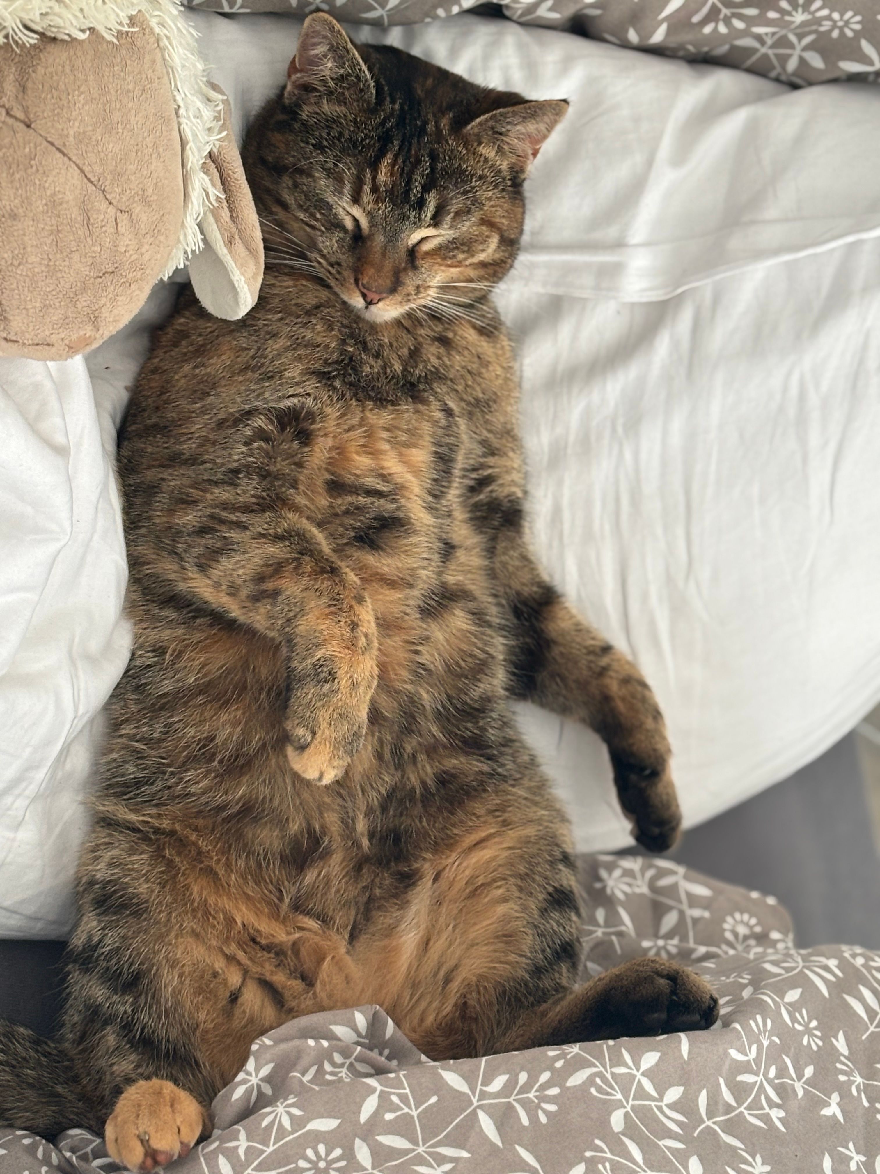 Josi - Siegadel, Schwielochsee