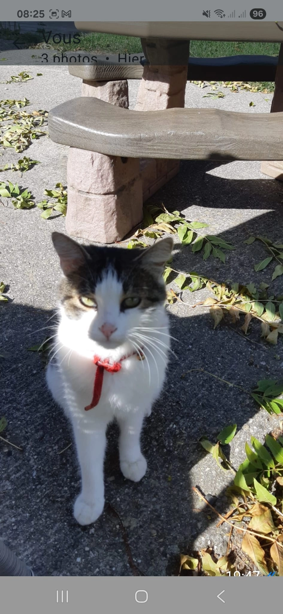 Craspouette - Les Longs Prés, Avenches