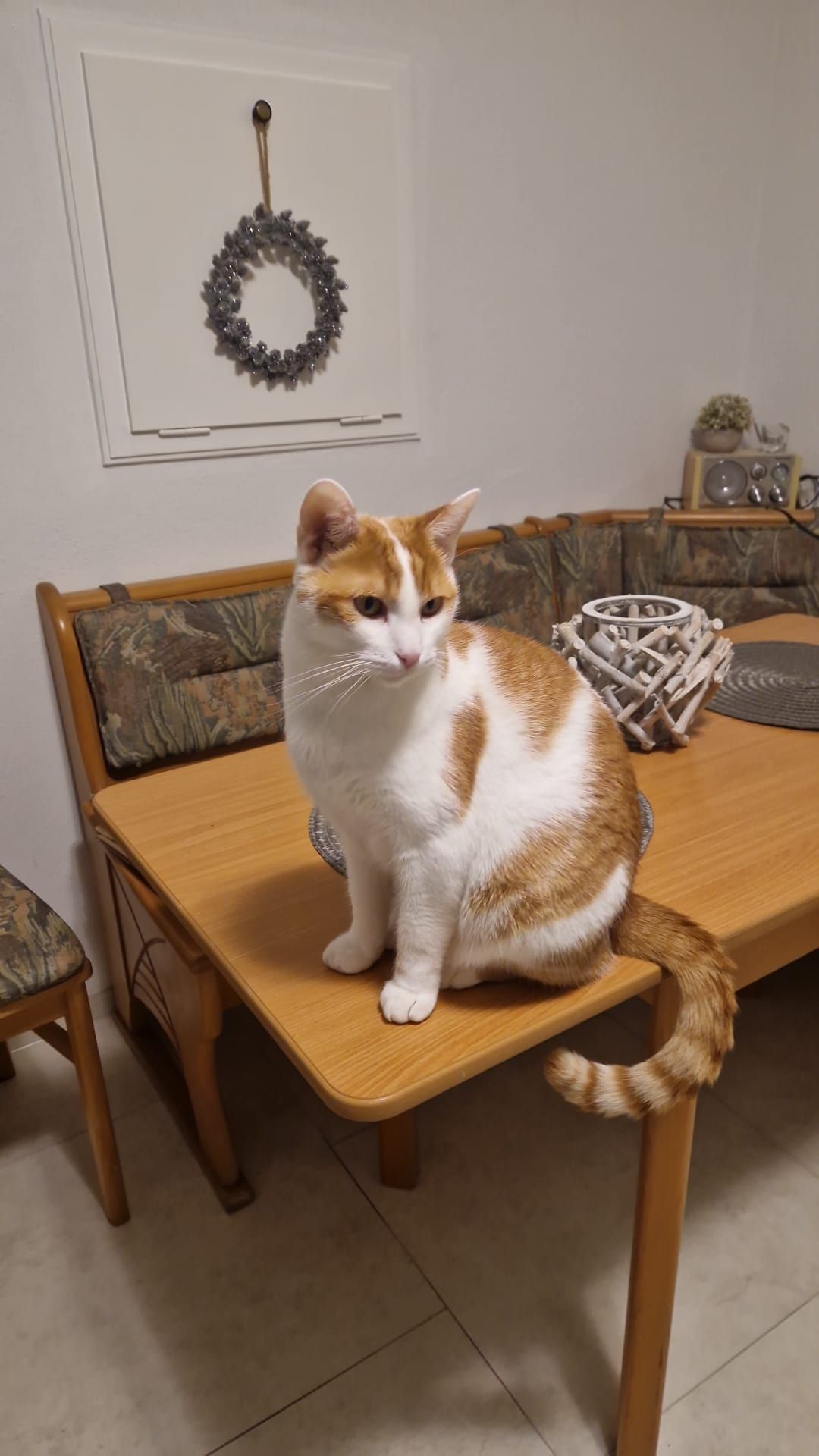 Ignaz  - Adam-Regensburger-Straße, Pfarrkirchen