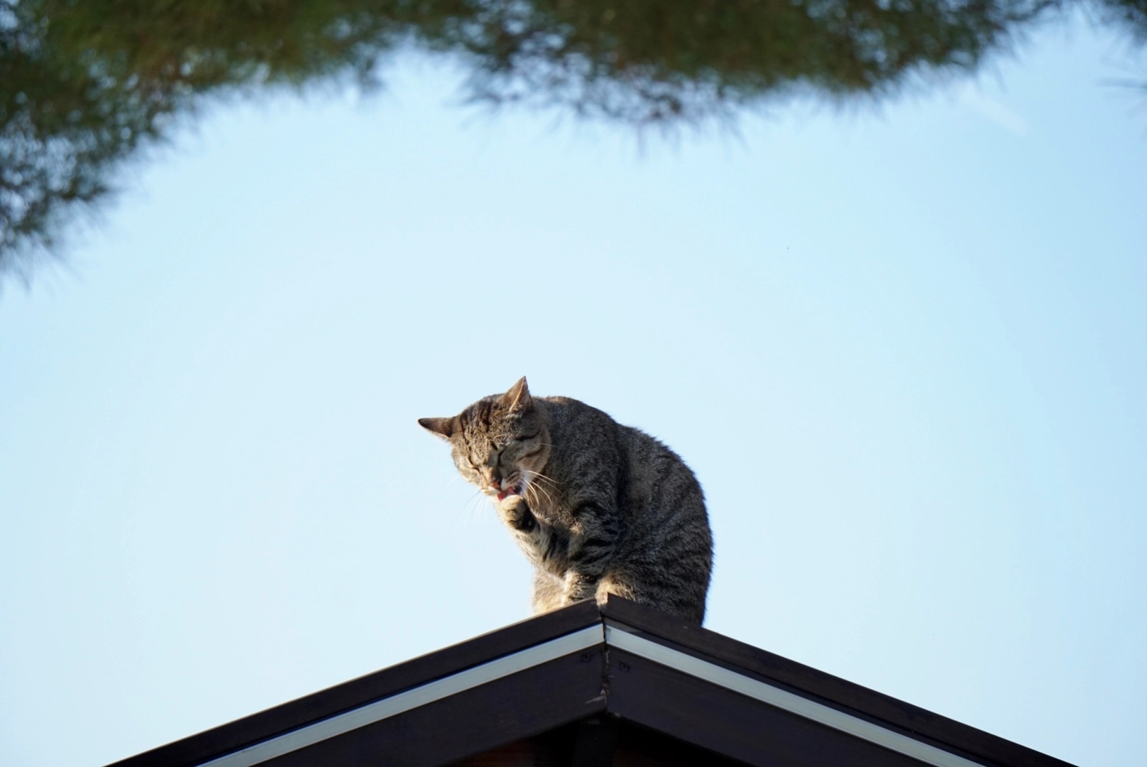 Marie - Frasenweg, Kassel