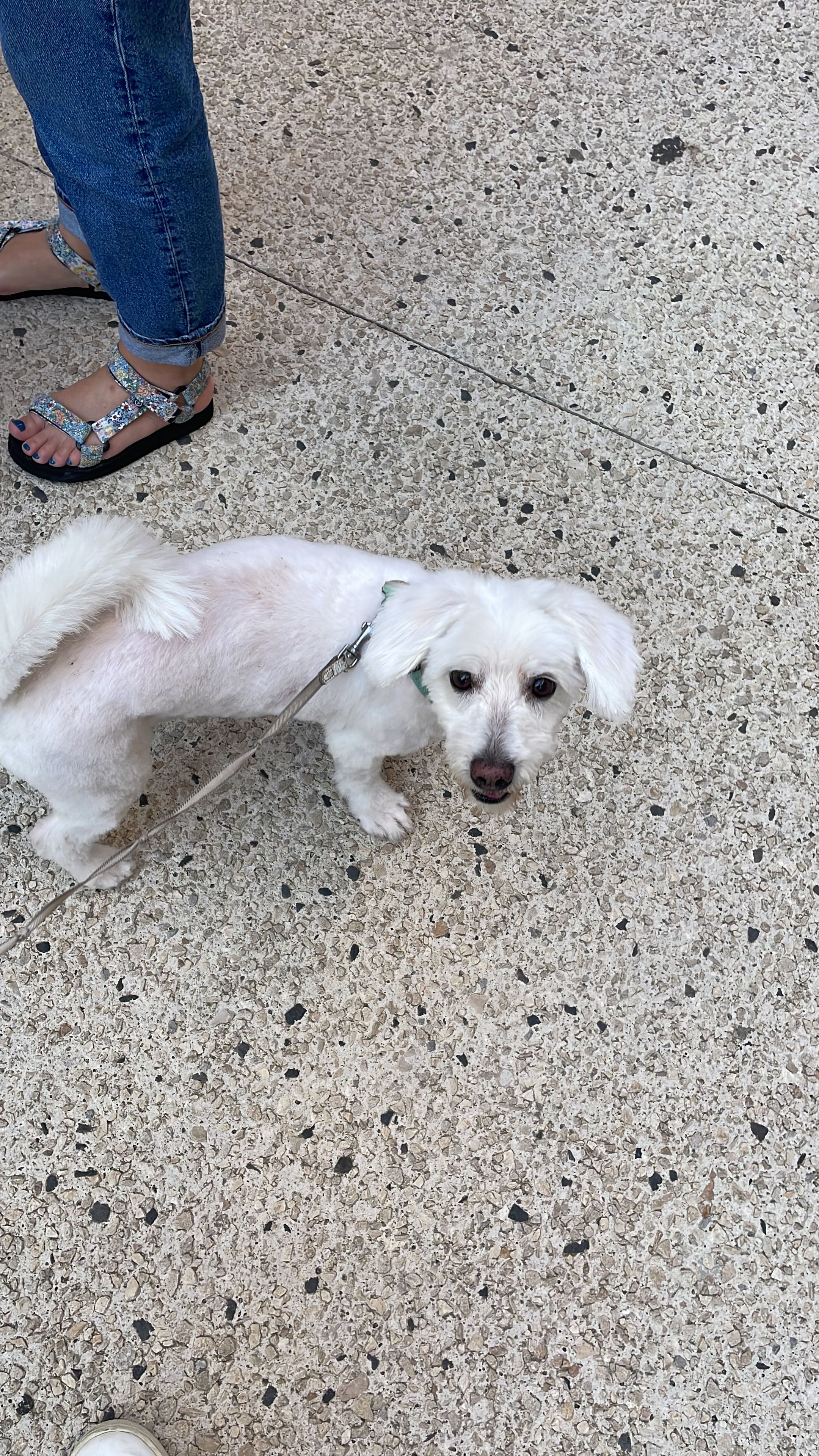 Leo - Impasse de Fontchaude, La Bégude-de-Mazenc