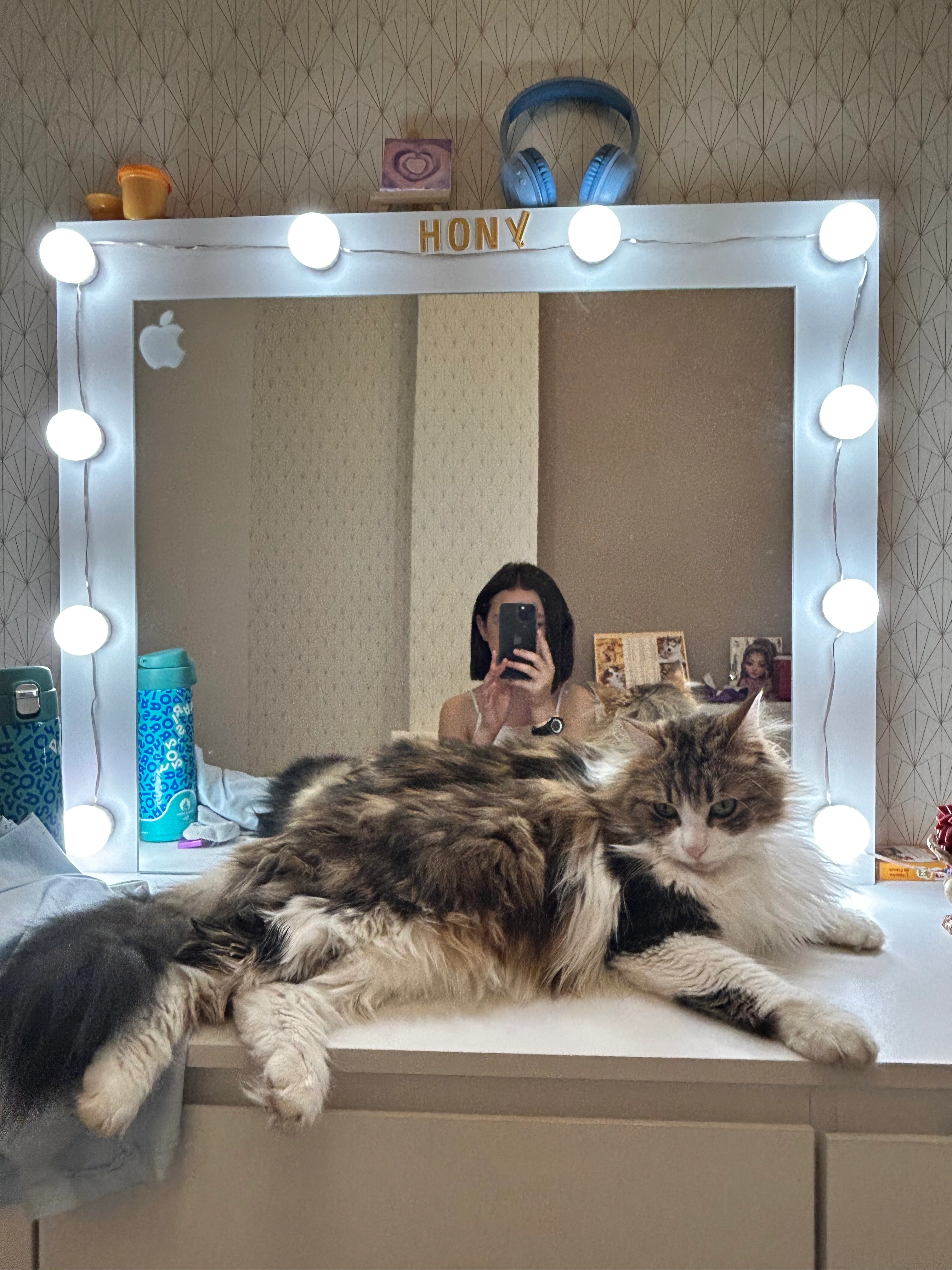 Maxelle - 20 Rue du Cotentin, Paris