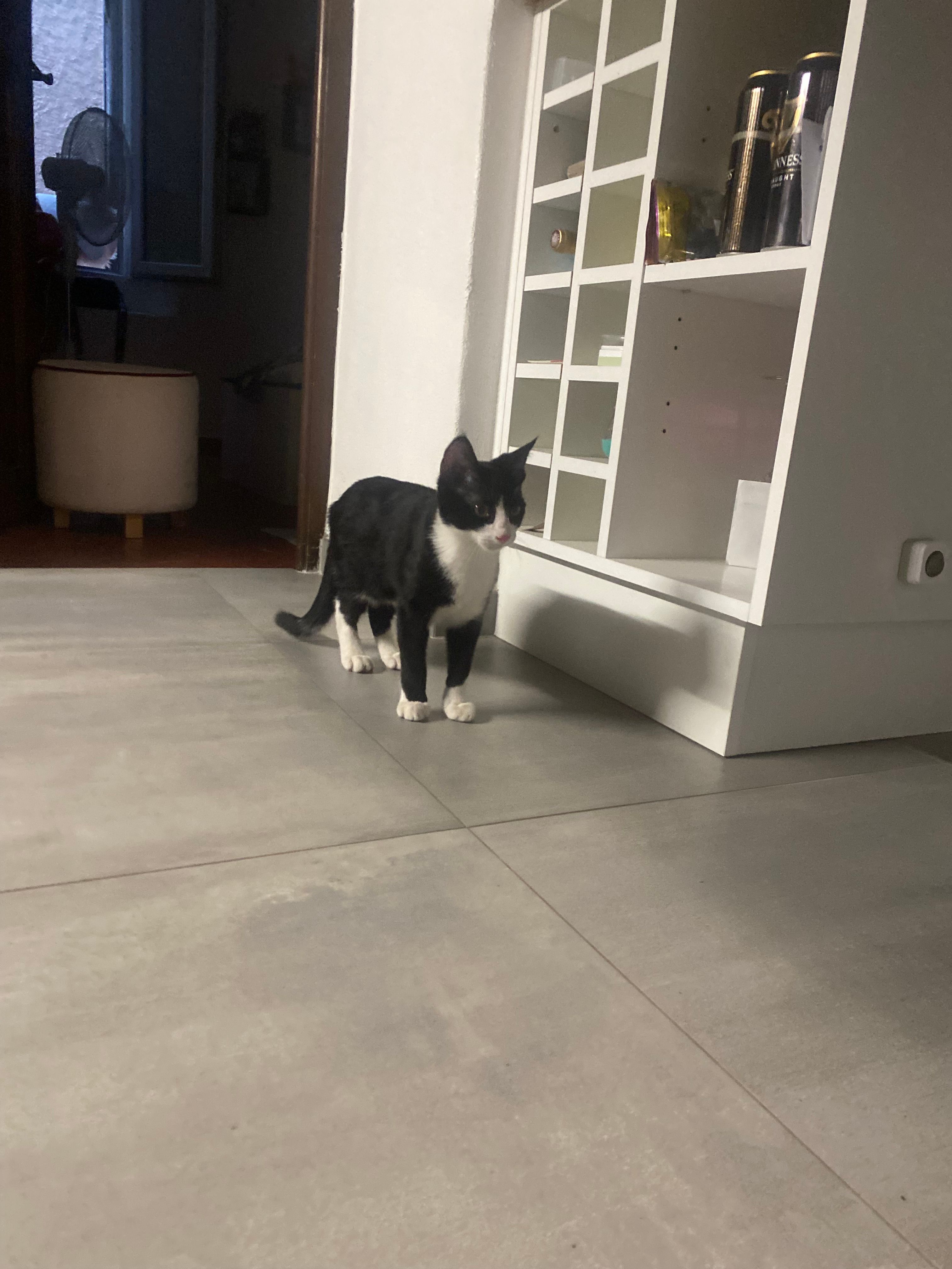 Sushi - 3 Rue Saint-Jacques, Fayence