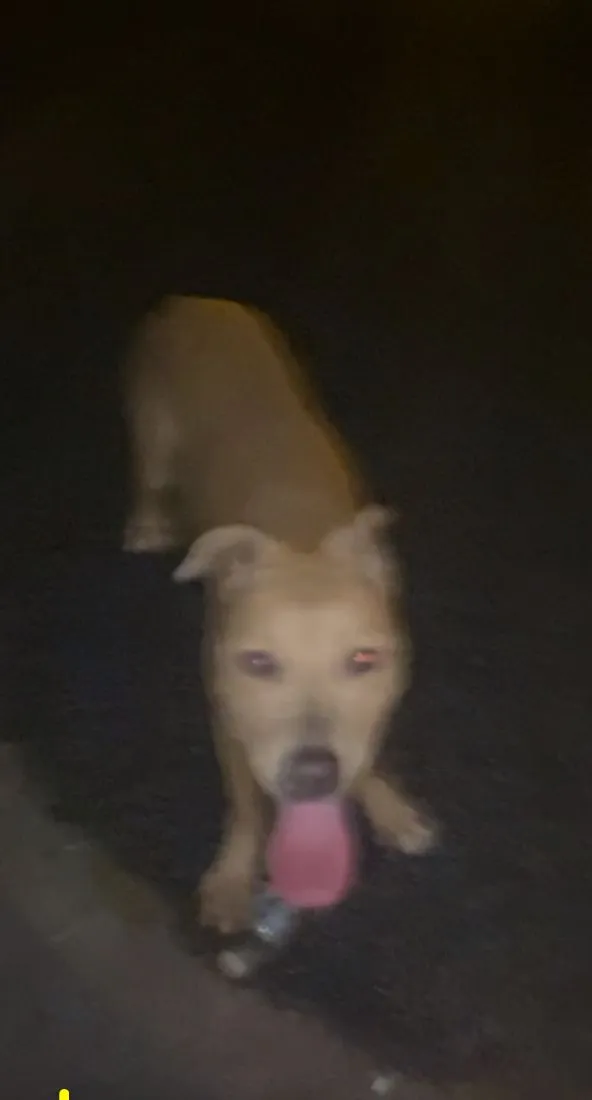 Jagga - Alpha Road, Croydon