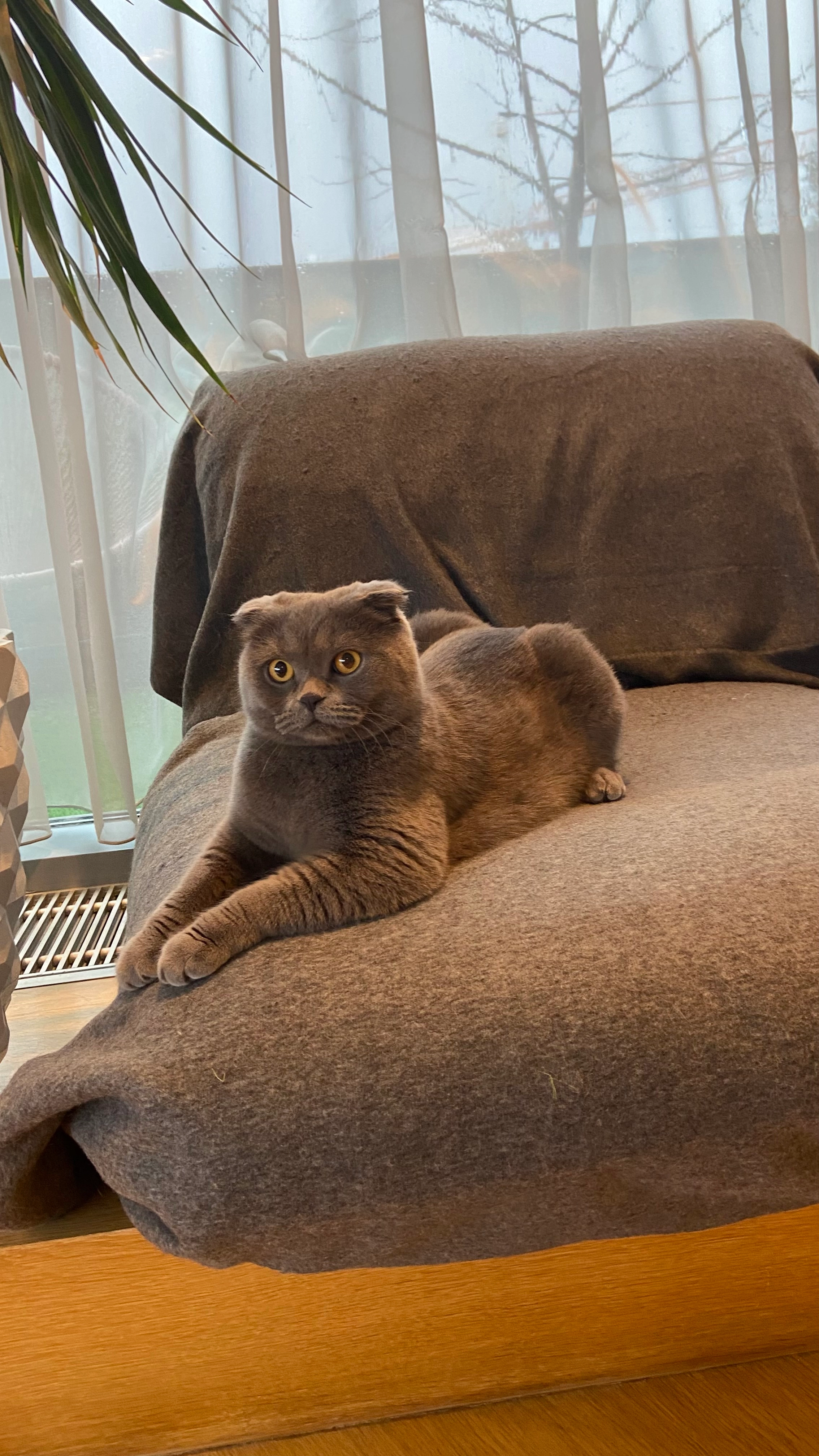 Knuffie - Route De Fischbach, Lintgen